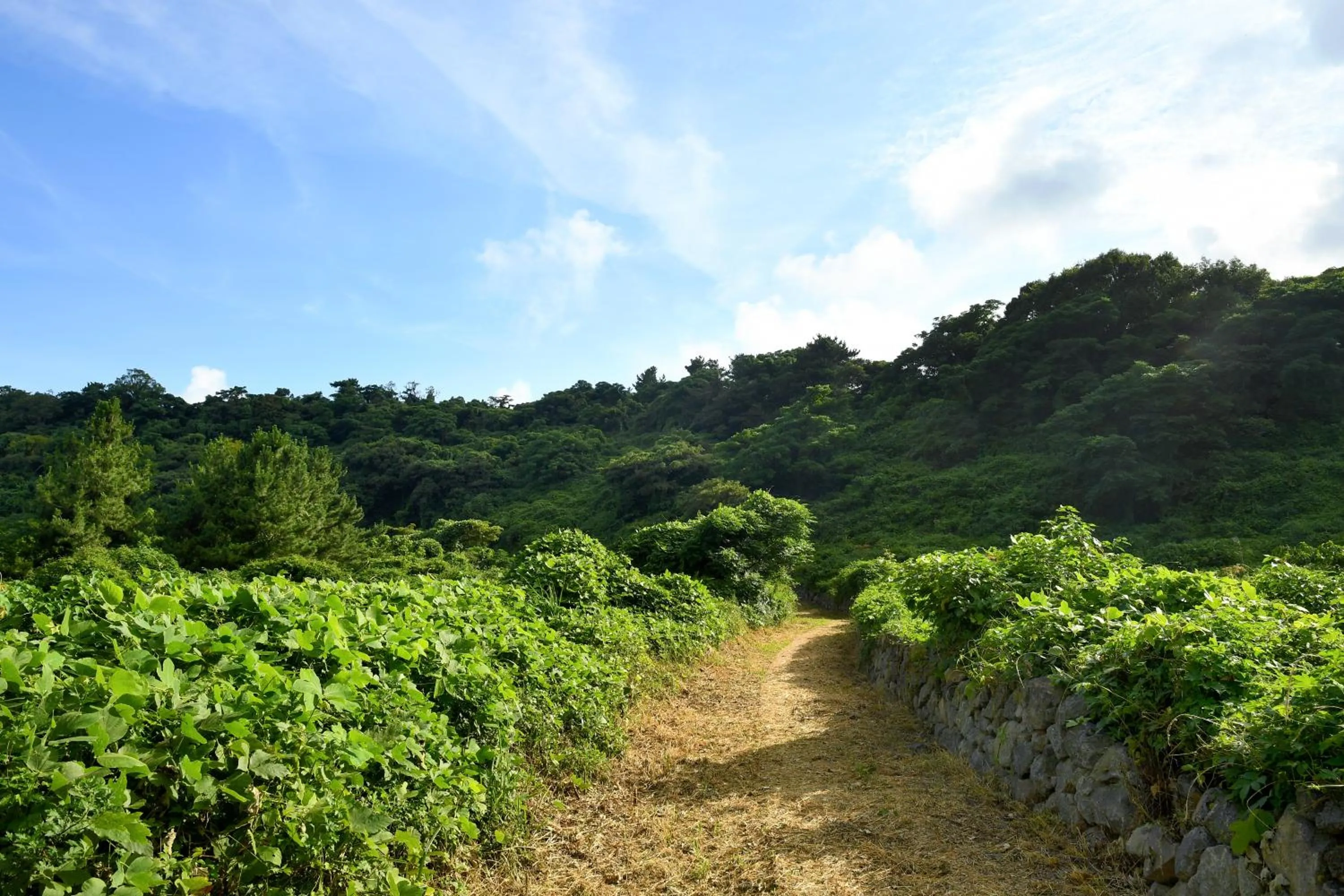 Natural landscape in Hidden Cliff Hotel and Nature