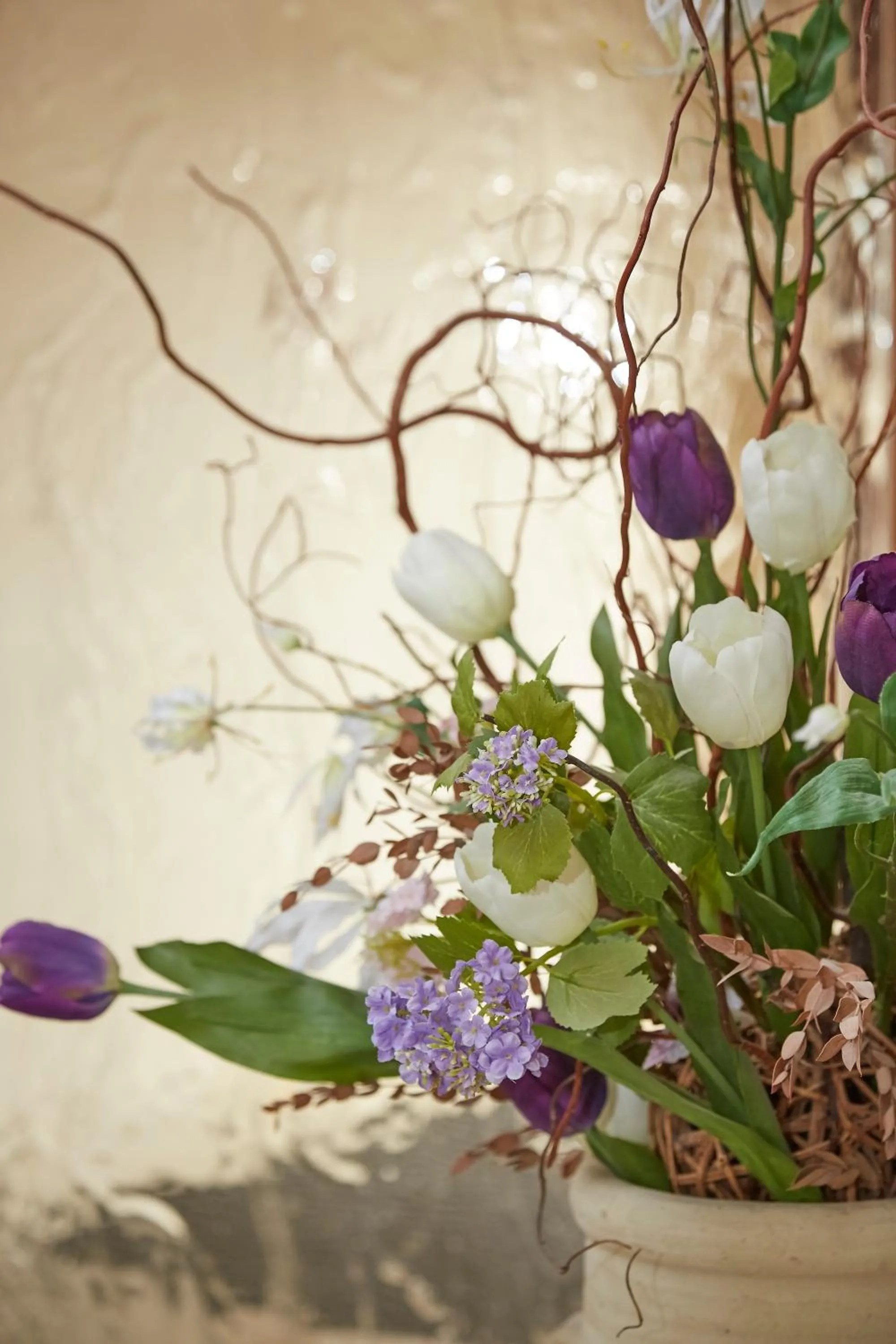 Area and facilities in Bed & Breakfast Hotel Müllerhof