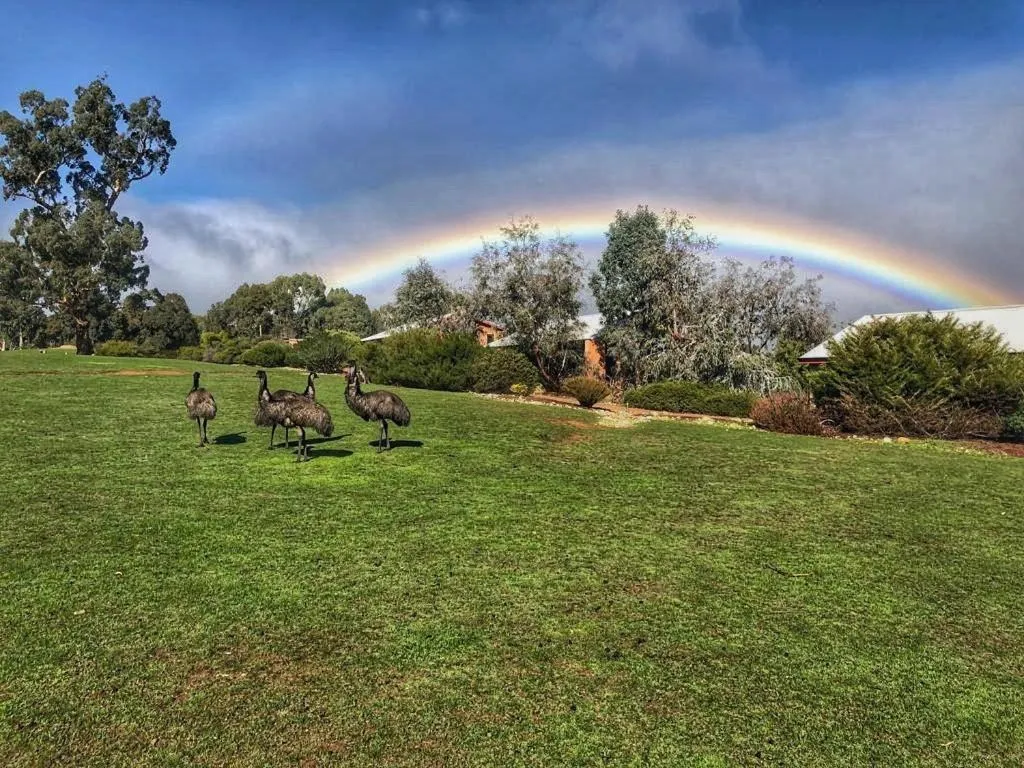 Natural landscape in Meringa Springs