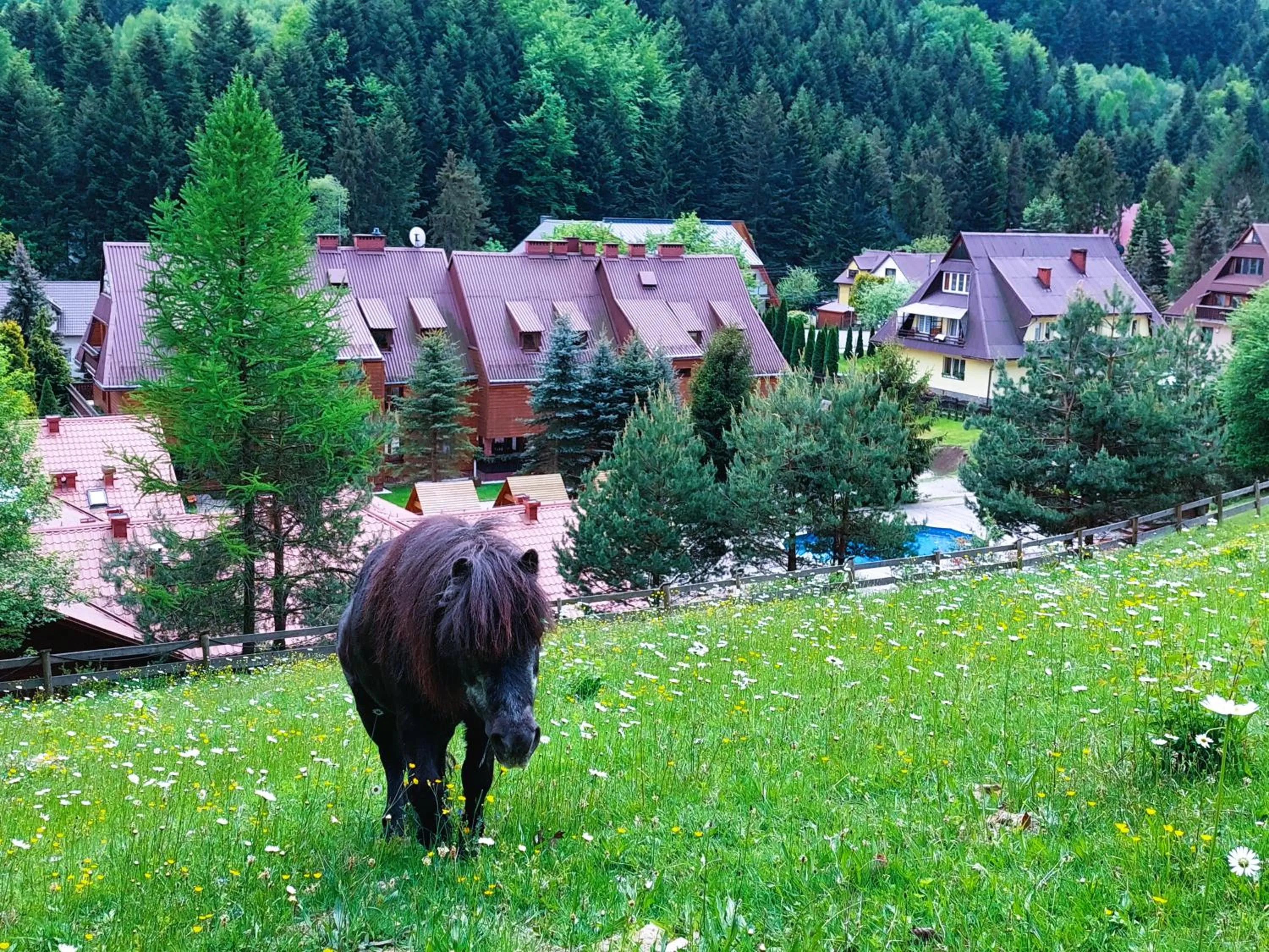 Rezydencja Leśny Dwór