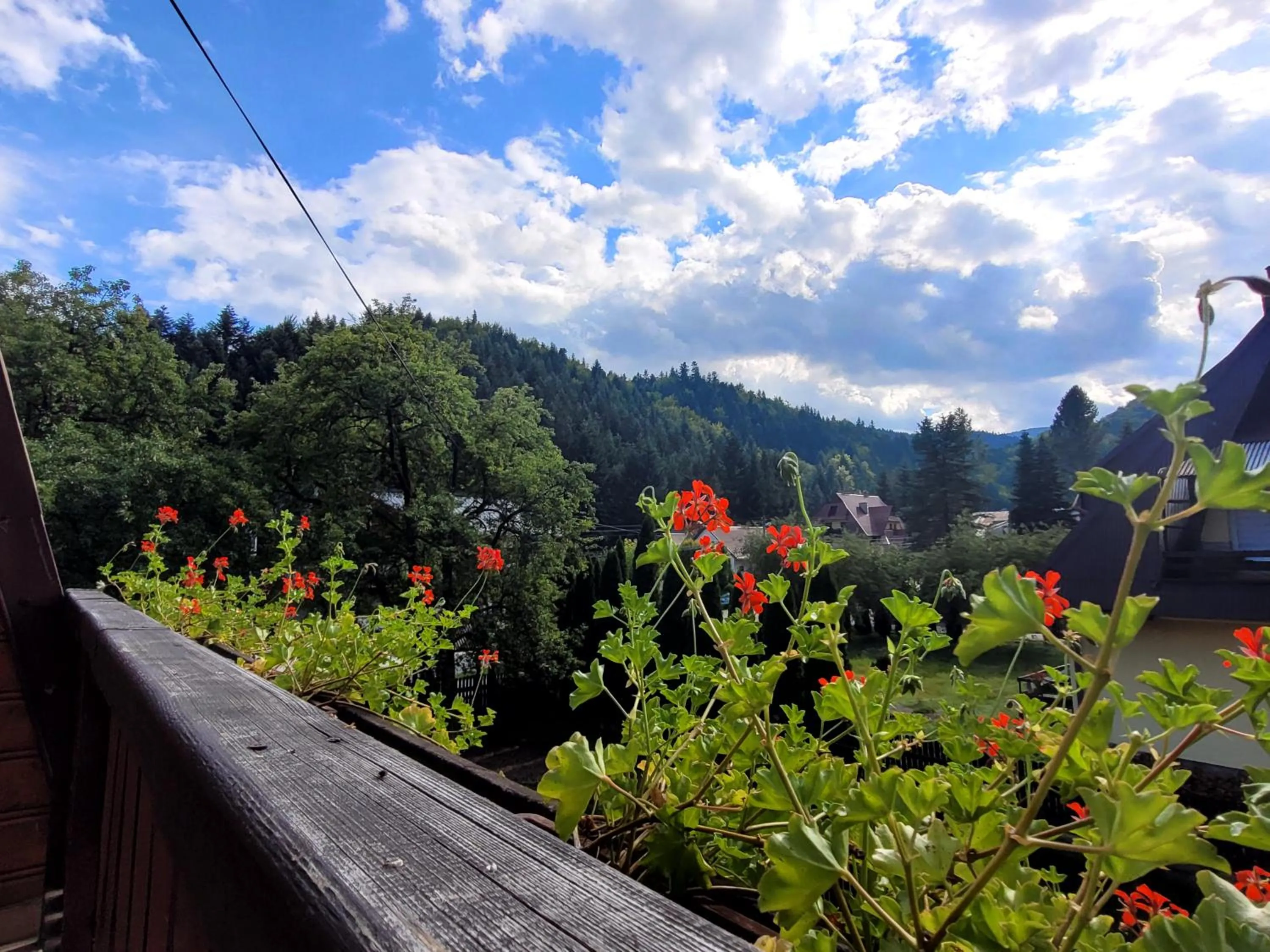 Natural landscape in Rezydencja Leśny Dwór