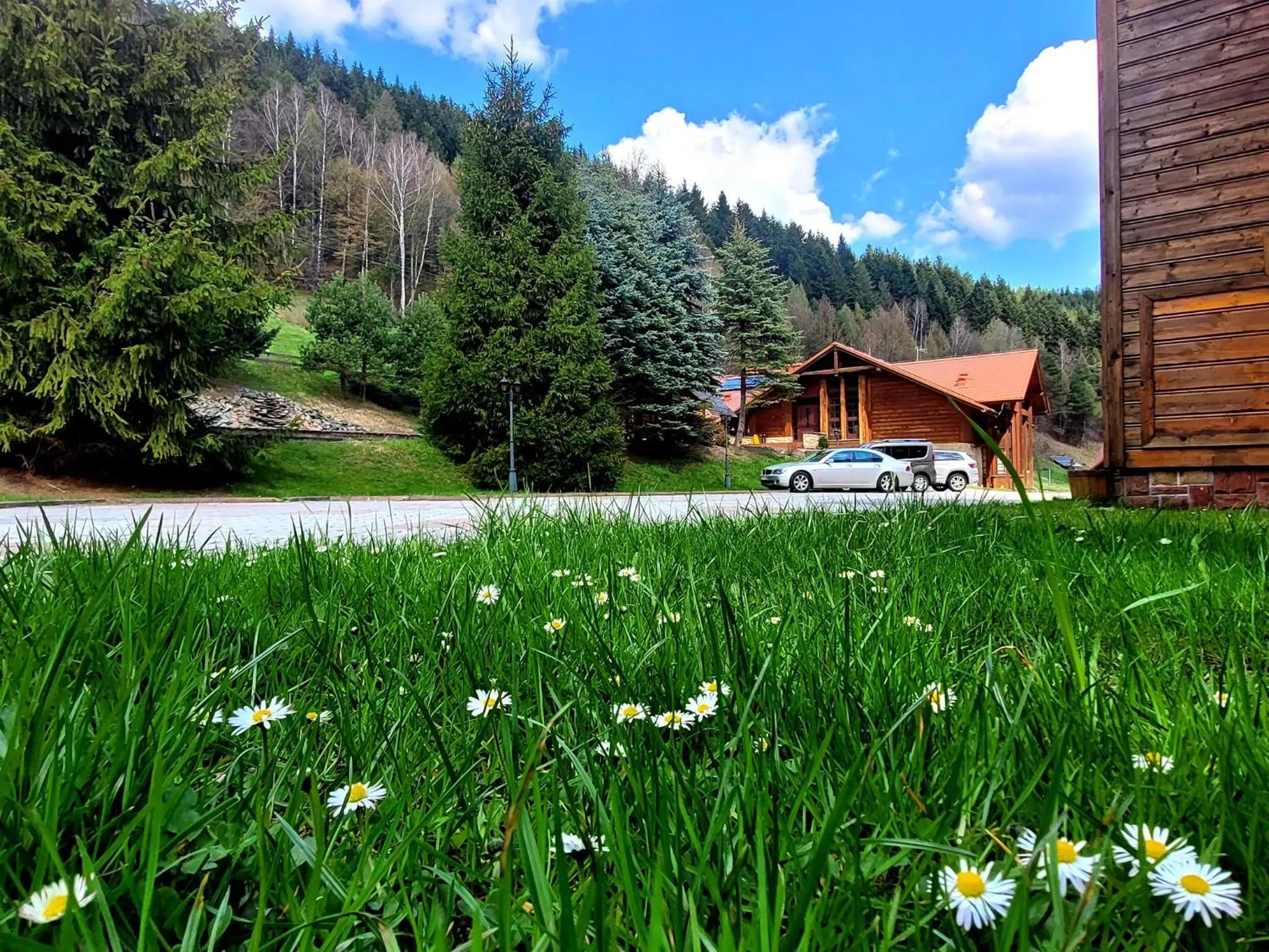 Rezydencja Leśny Dwór