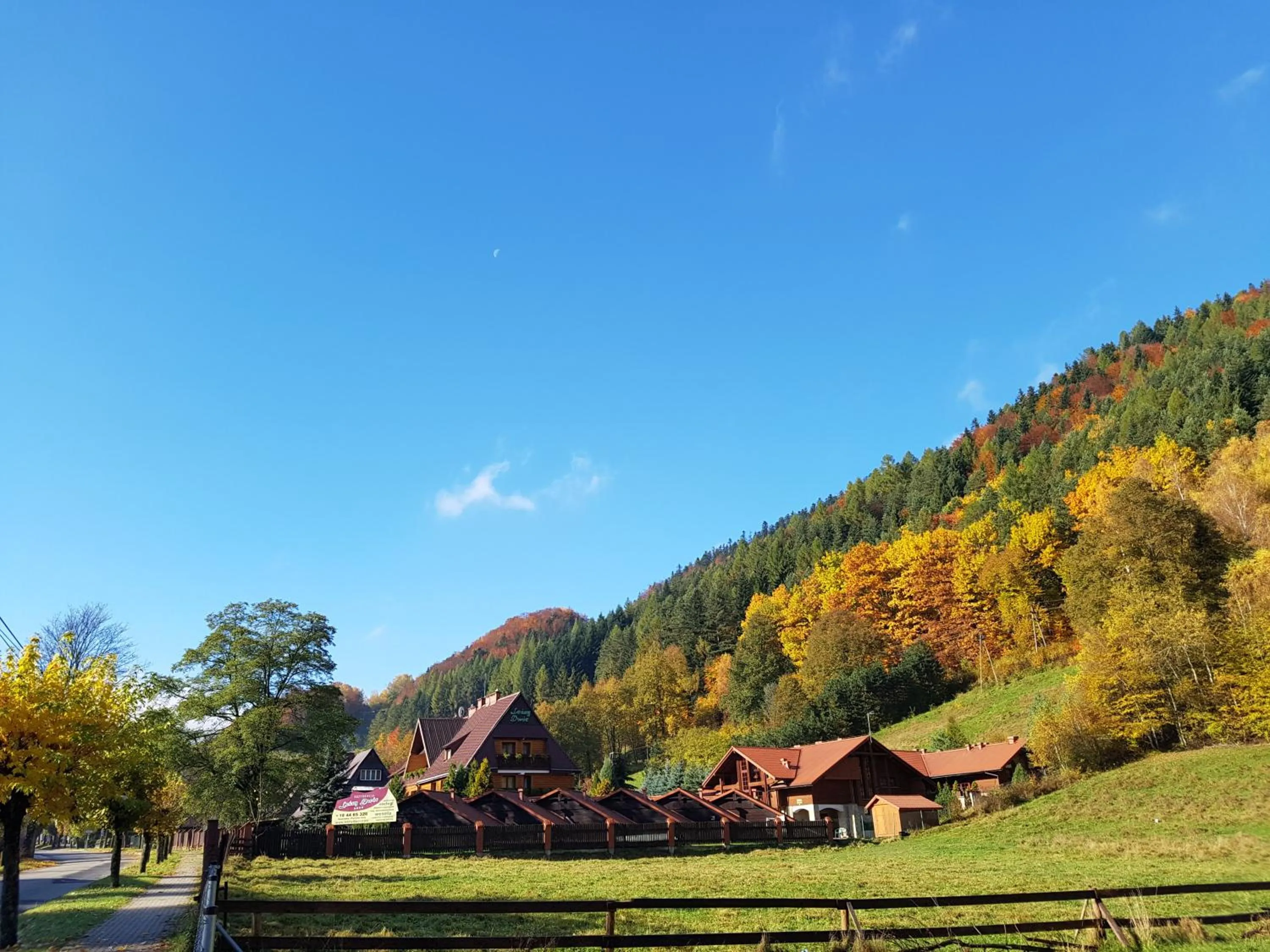 Neighbourhood in Rezydencja Leśny Dwór