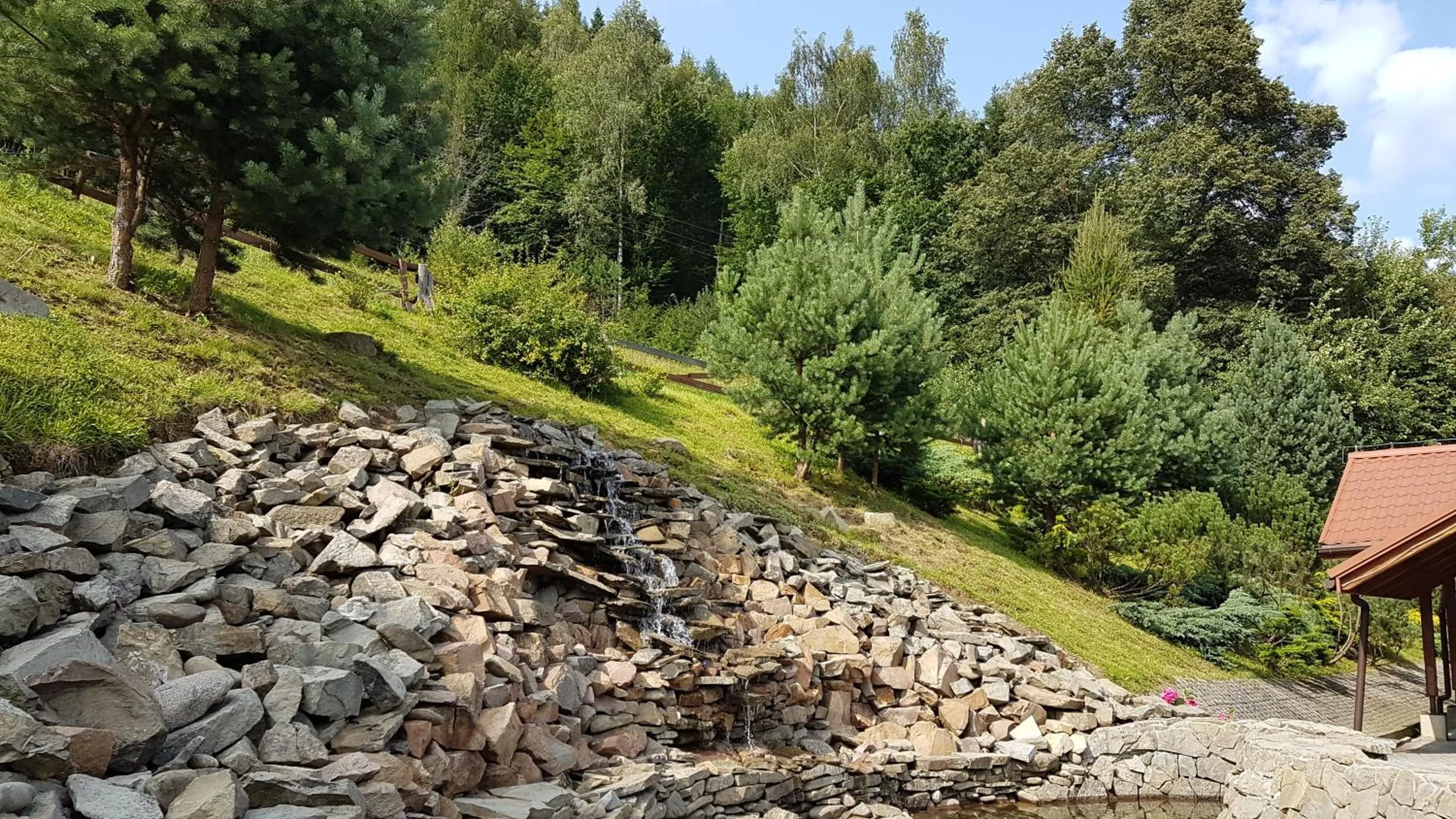 Natural landscape in Rezydencja Leśny Dwór