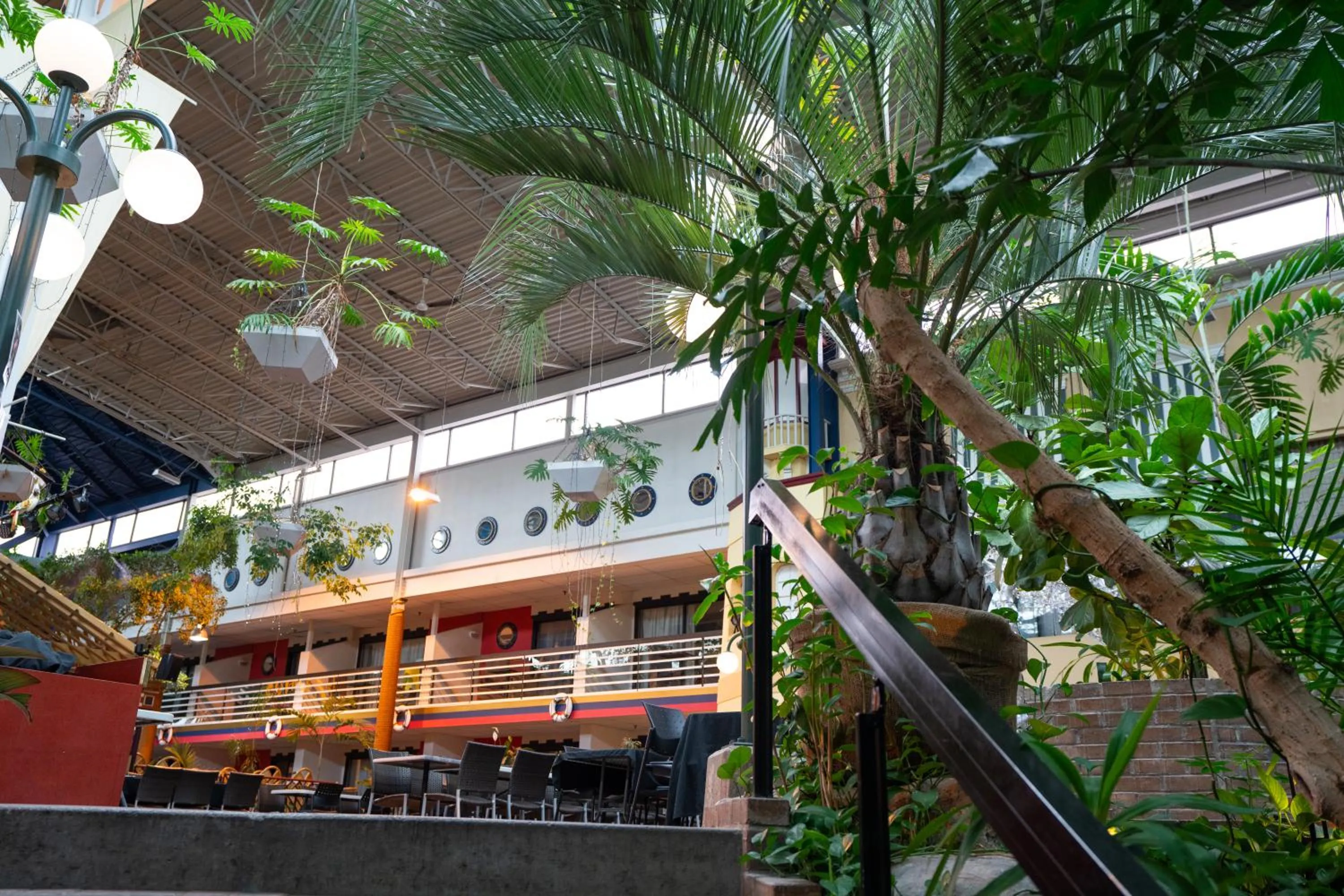 Garden in Hôtel Québec Inn par JARO