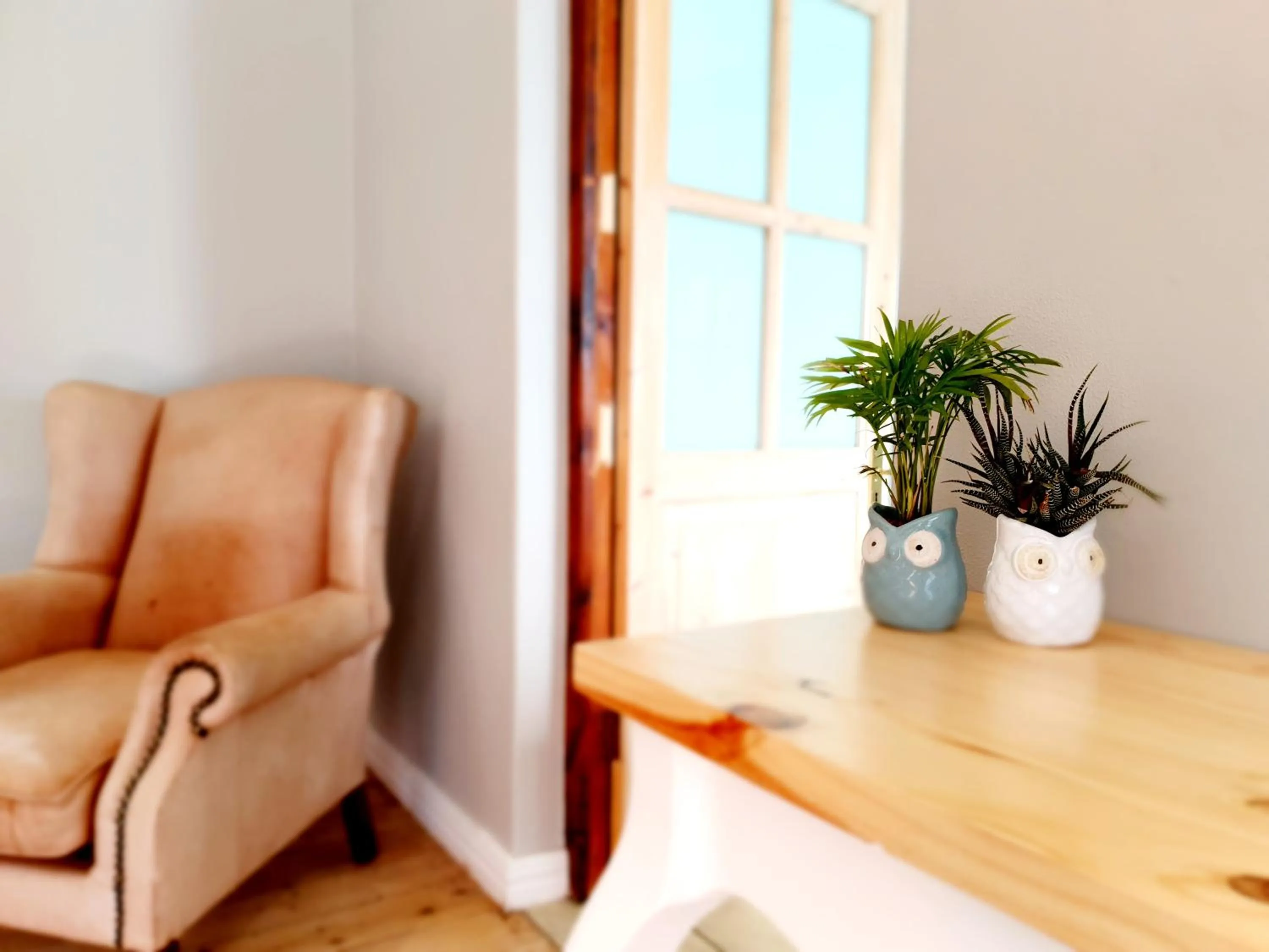 Seating area in Two Fat Owls Guesthouse