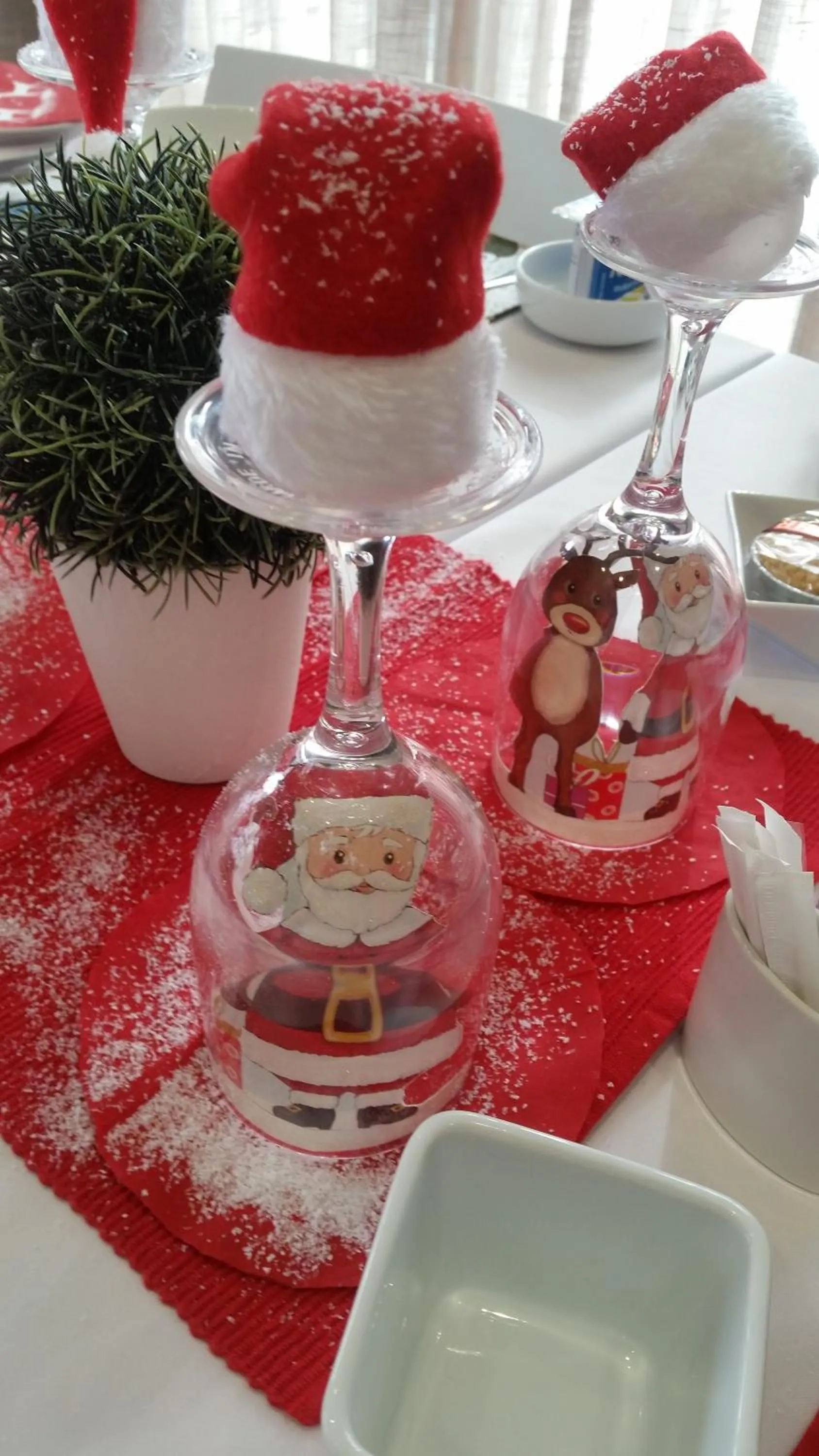 Summer in Two Fat Owls Guesthouse