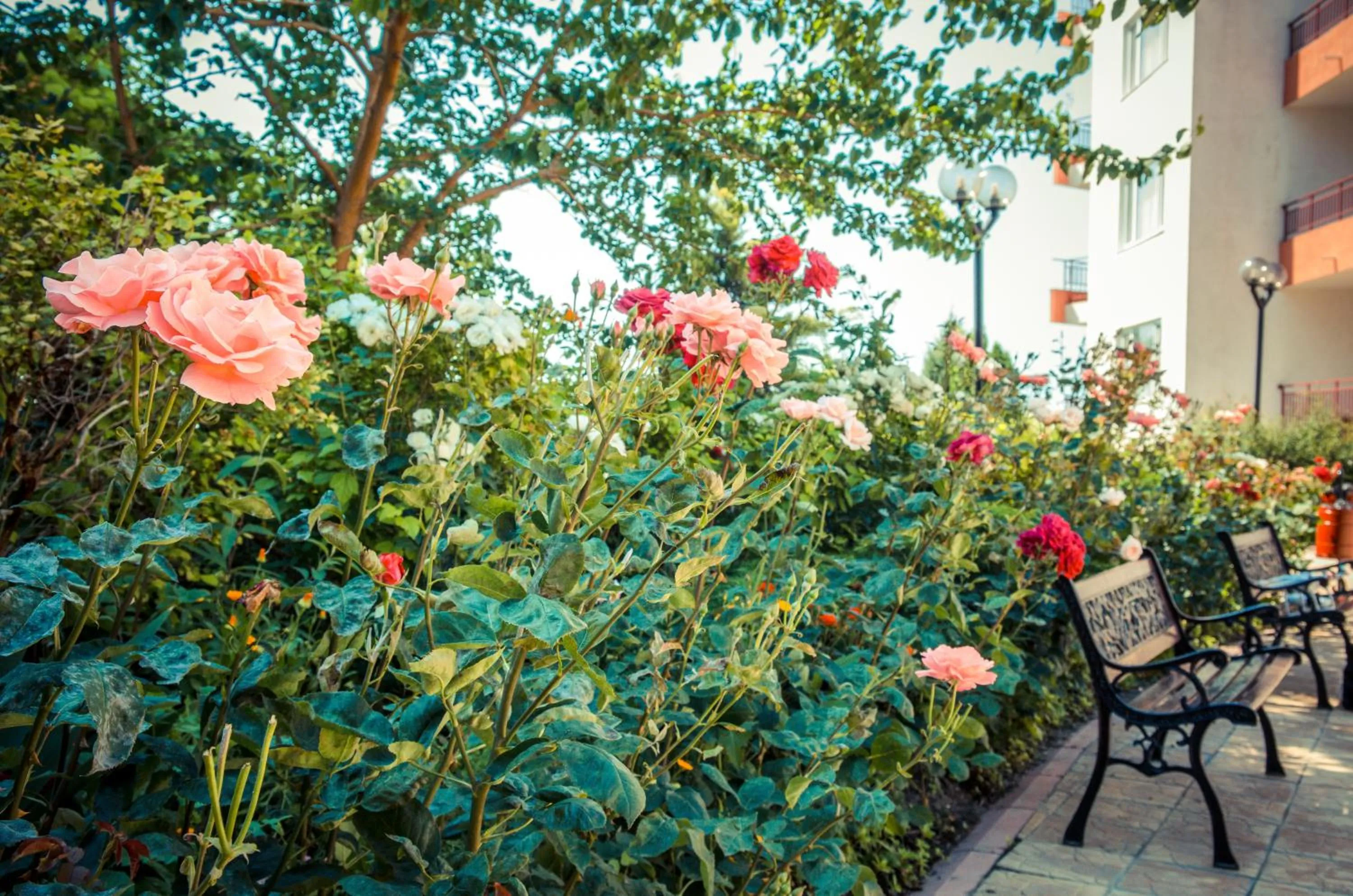 Garden in Riviera Fort Beach Apartments