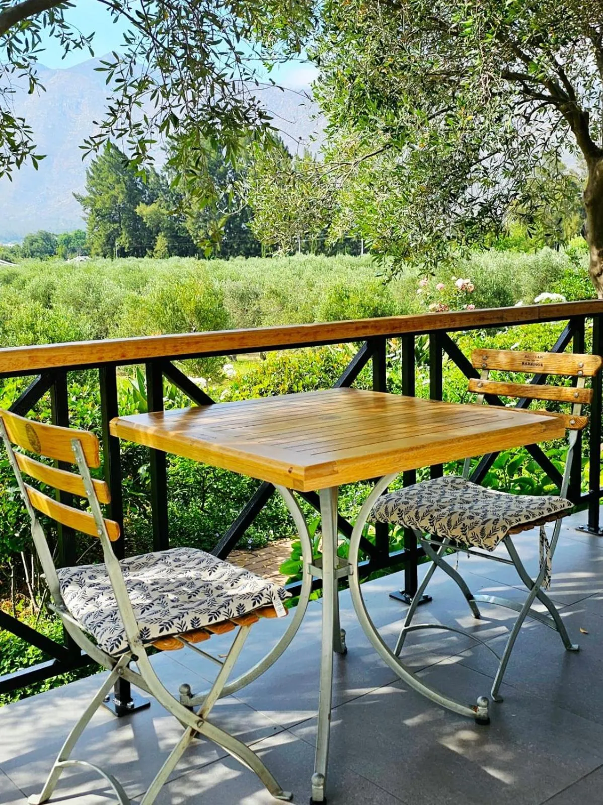 Balcony/Terrace in Montagu Vines Guesthouse