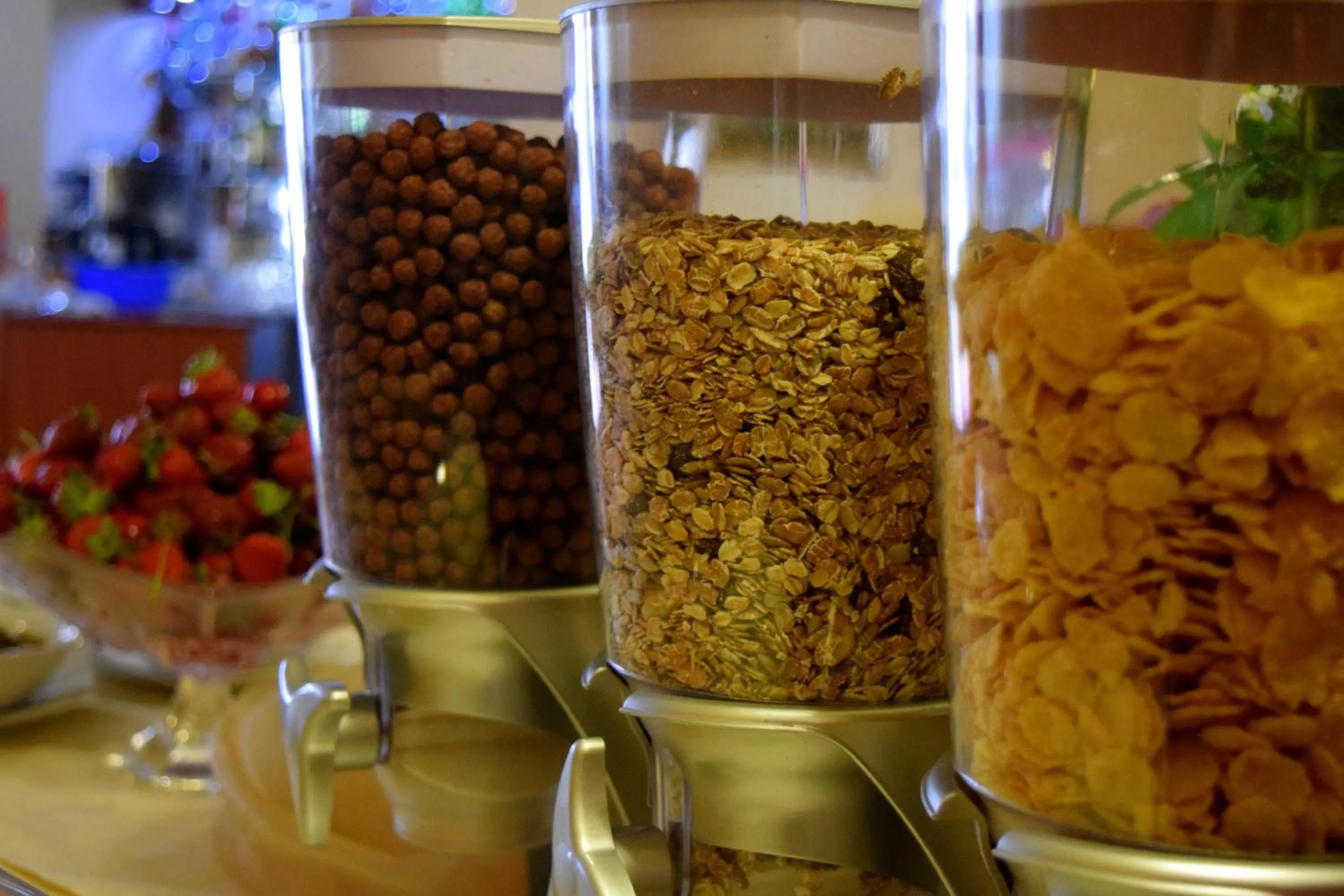 Other in Hotel Premier - Veliko Tarnovo City Center, Panorama View