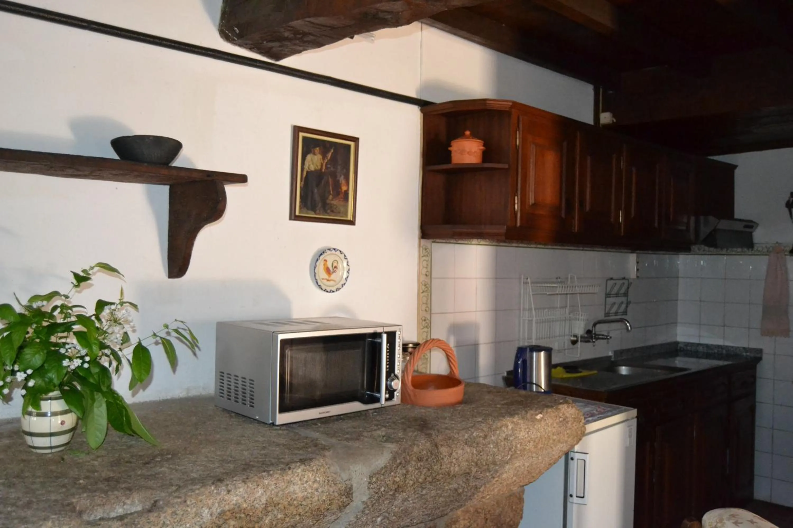 Kitchen or kitchenette in Quinta Santa Isabel