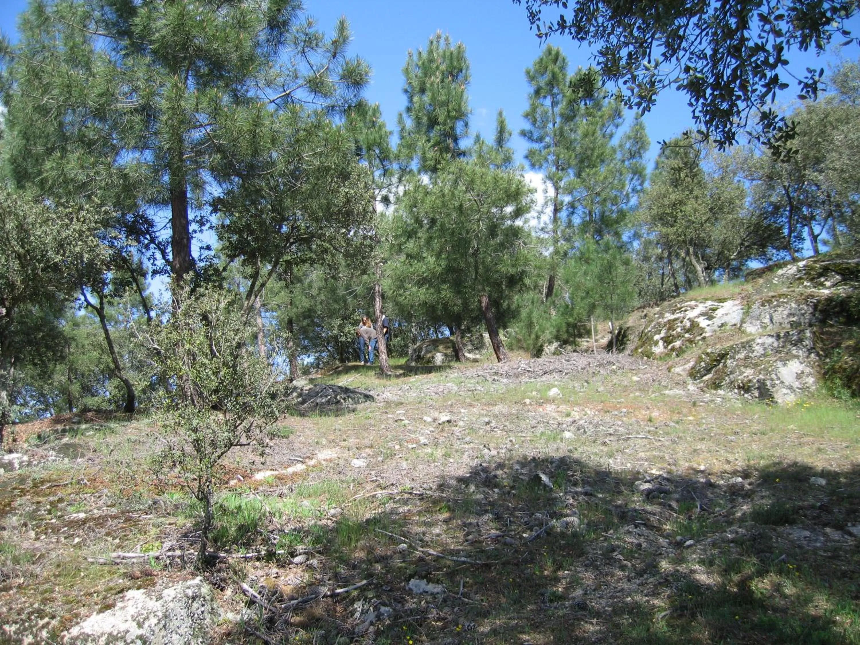 Garden in Quinta Santa Isabel