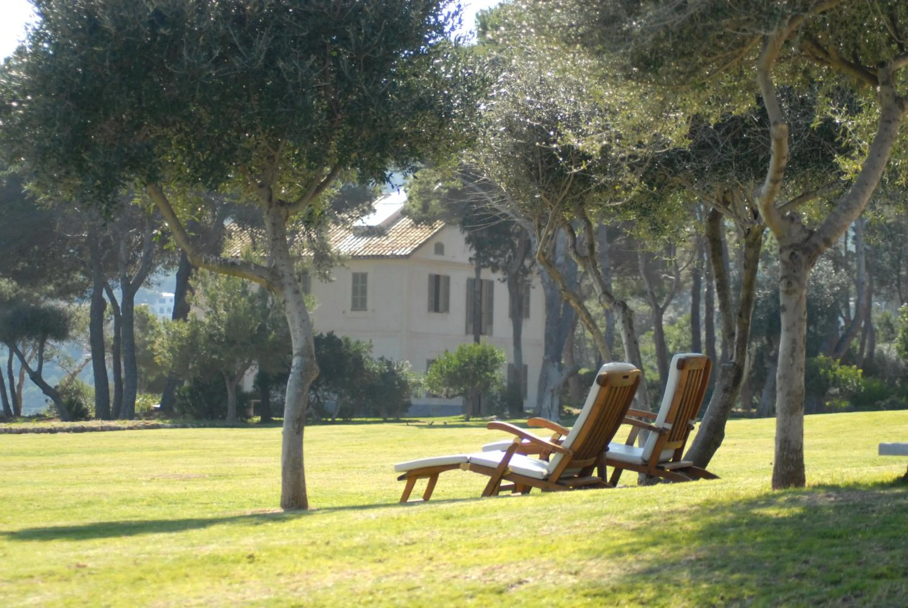 Day in Can Simoneta - Adults Only