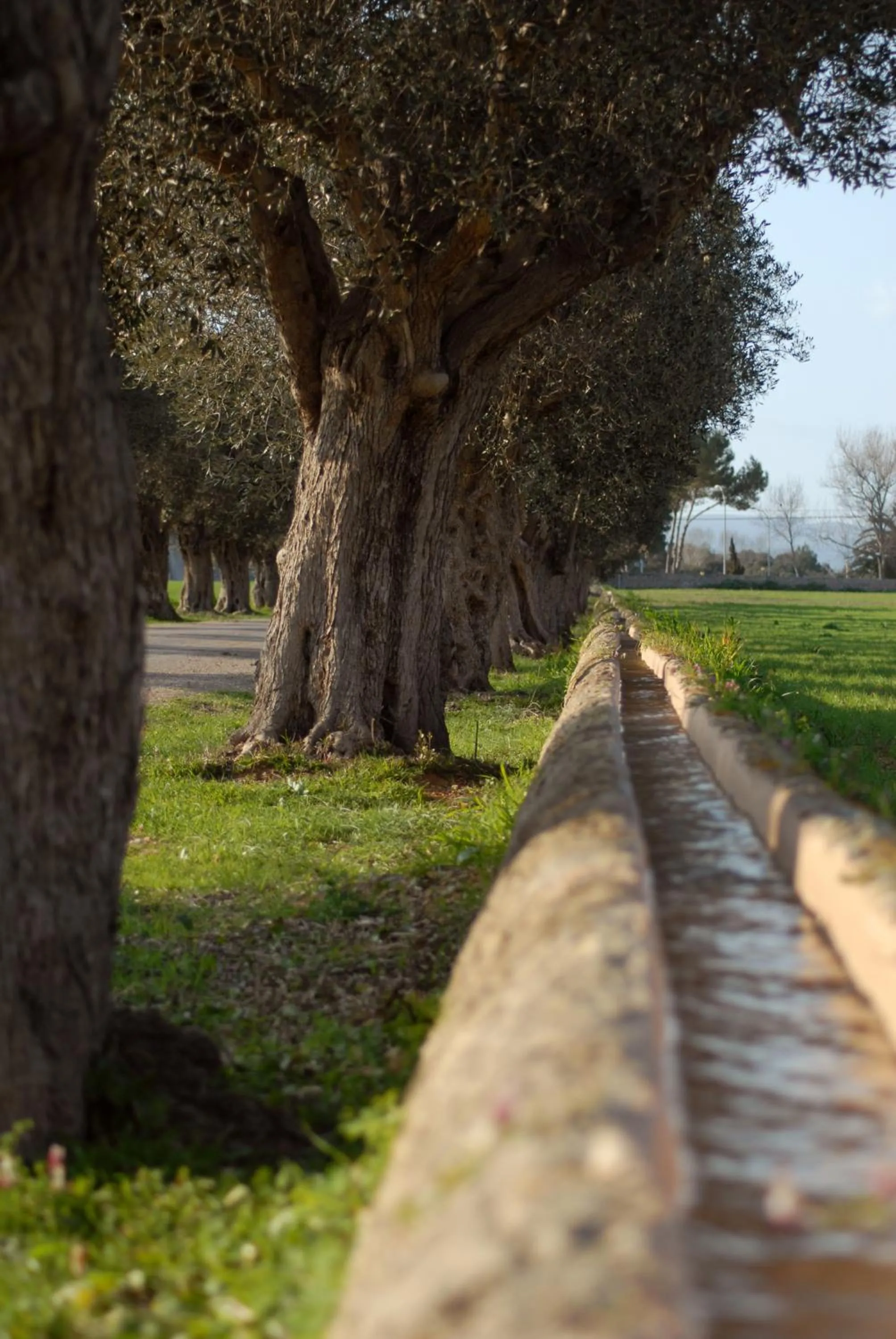 Garden in Can Simoneta - Adults Only