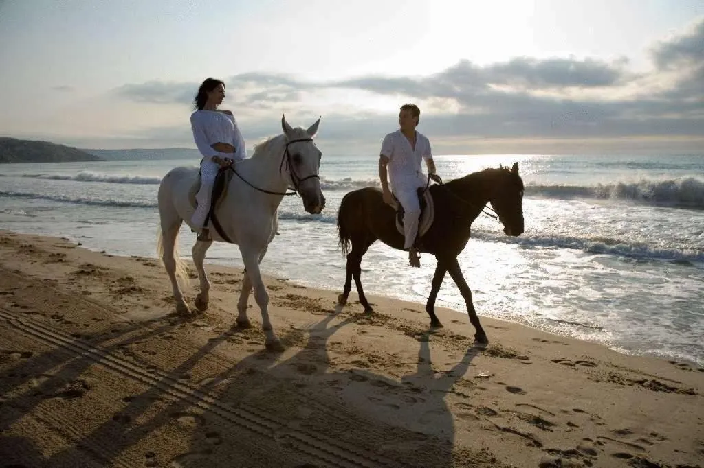 People in Hotel Magnolia