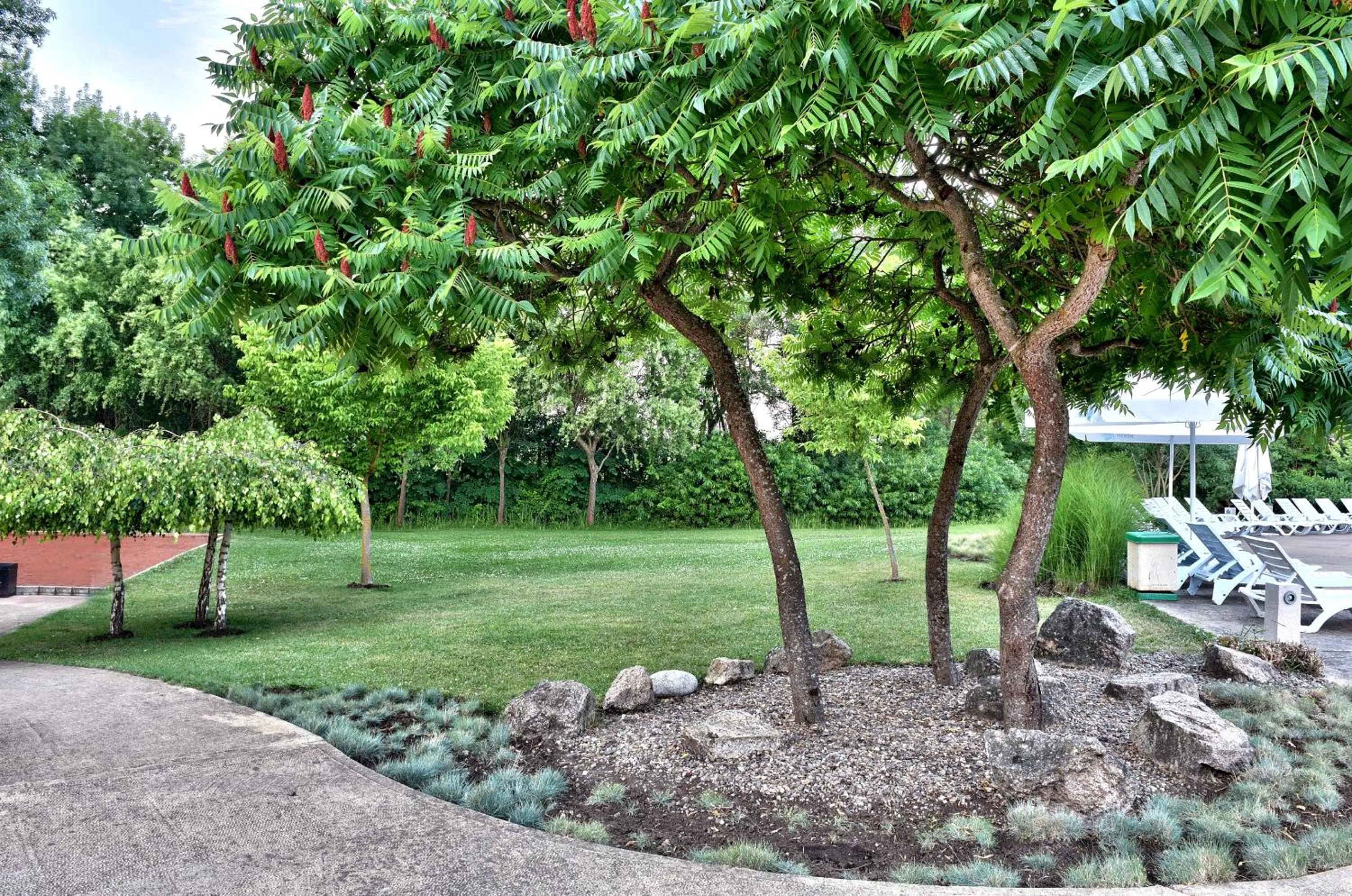 Garden view in Les Magnolias Hotel