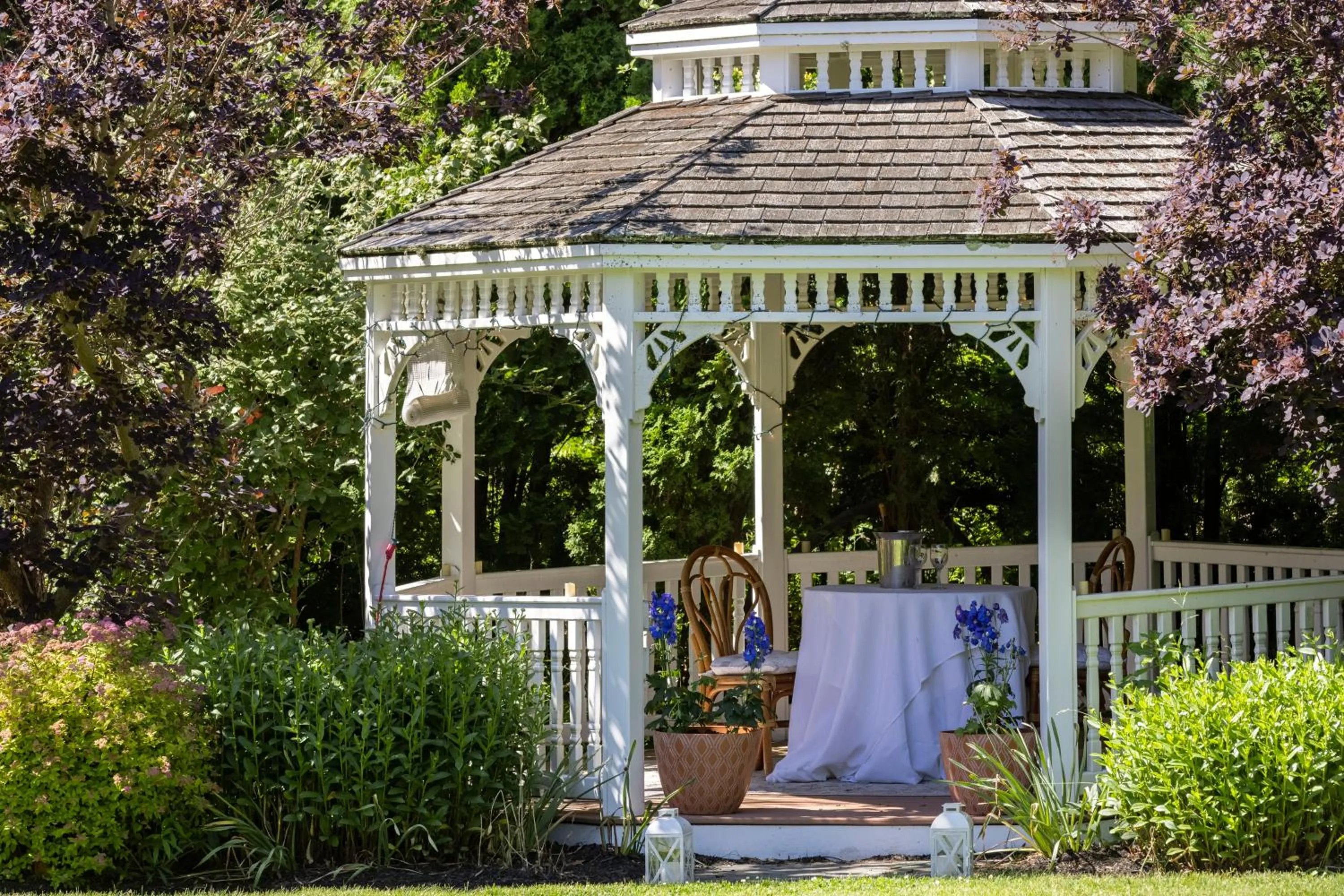 Garden in The Villa Bed and Breakfast
