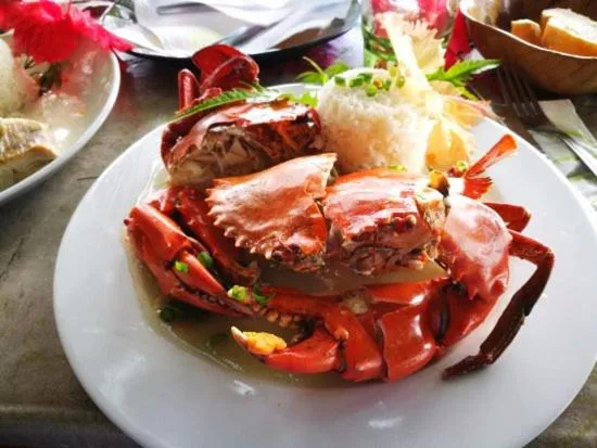 B & Bee Wild Island - Nature Song