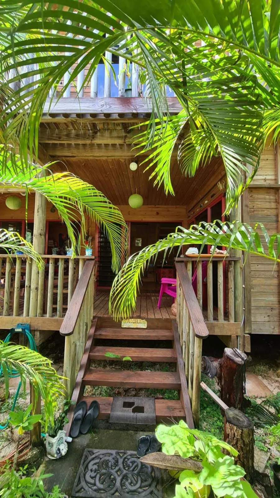 B & Bee Wild Island - Nature Song