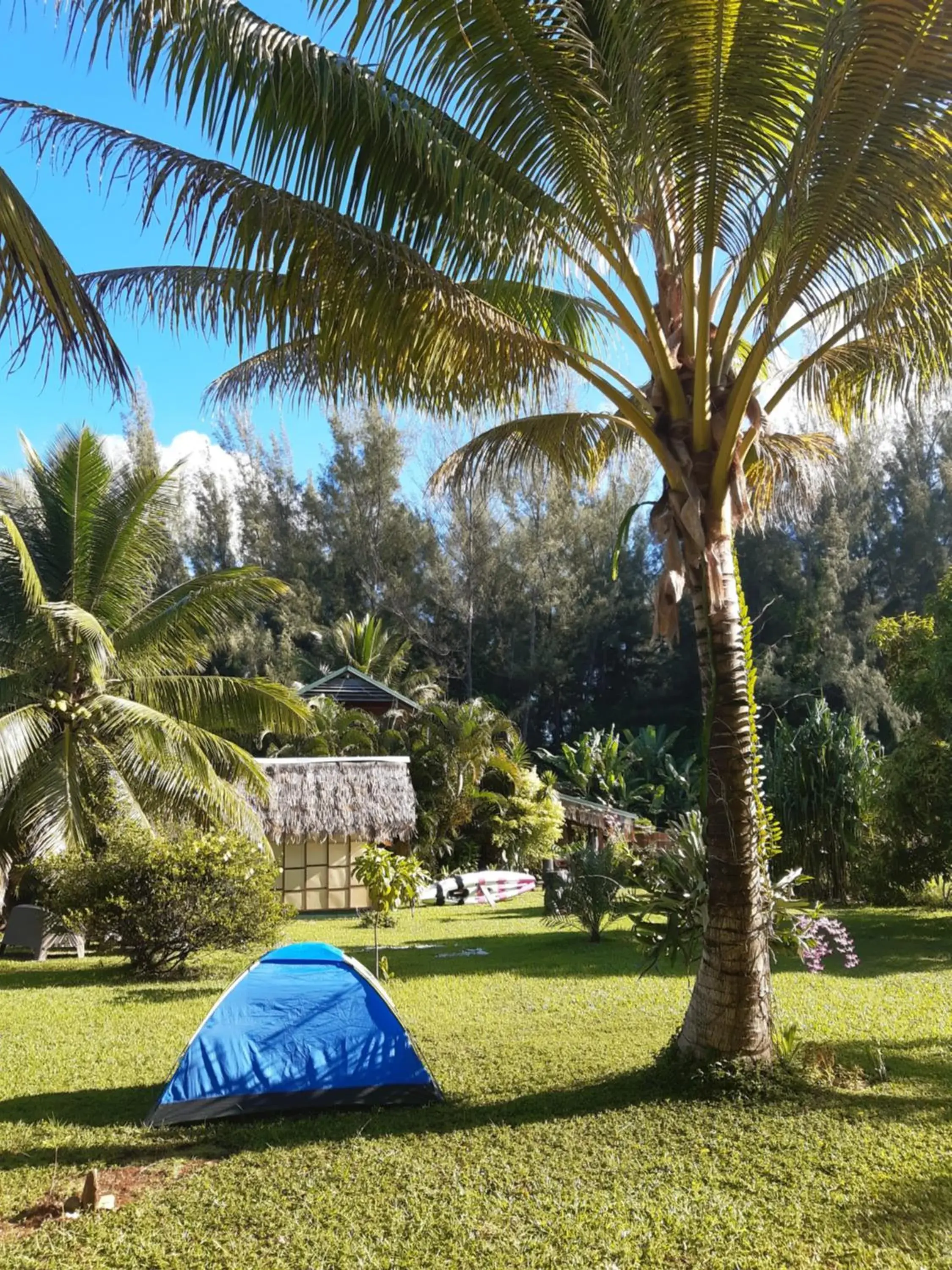 Tent - single occupancy in B & Bee Wild Island - Nature Song Tent - single occupancy in B & Bee Wild Island - Nature Song