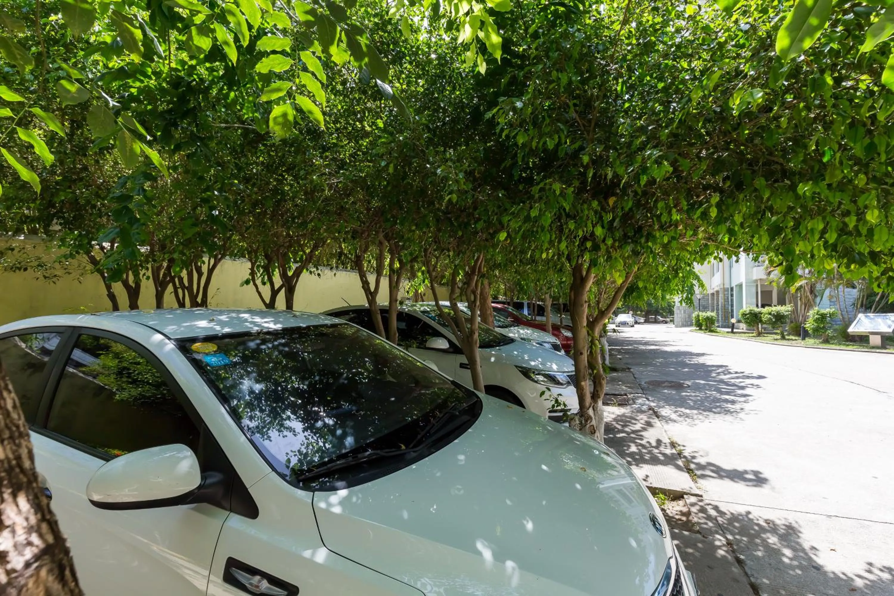 Garden in Sanya Sun Seaview Apartment