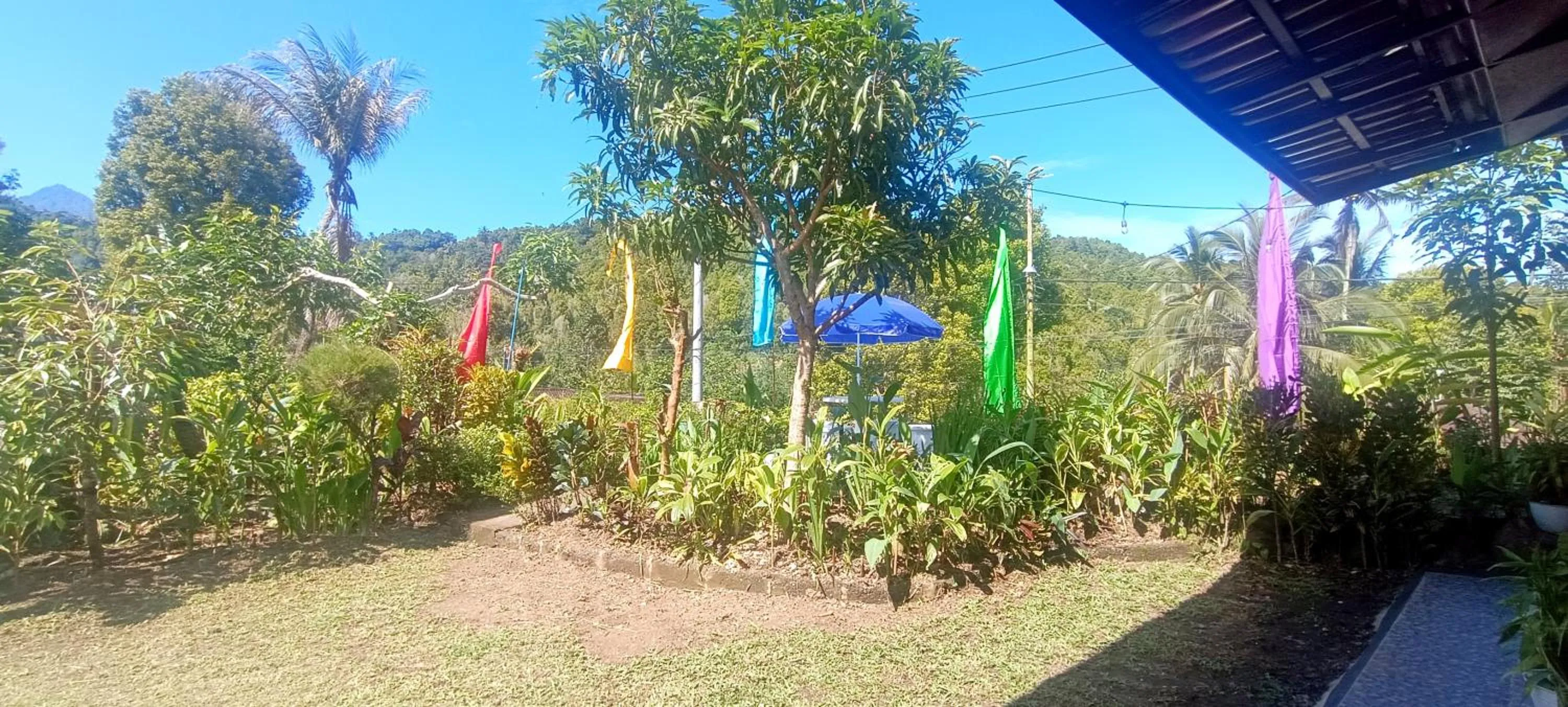 Gosela Bali