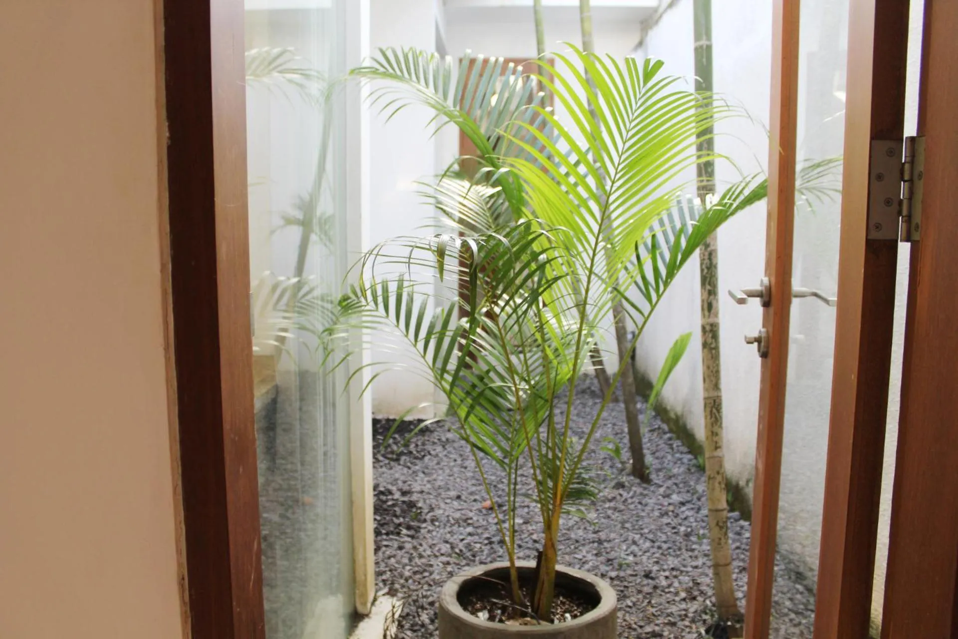 Garden in Villa Kim Seminyak