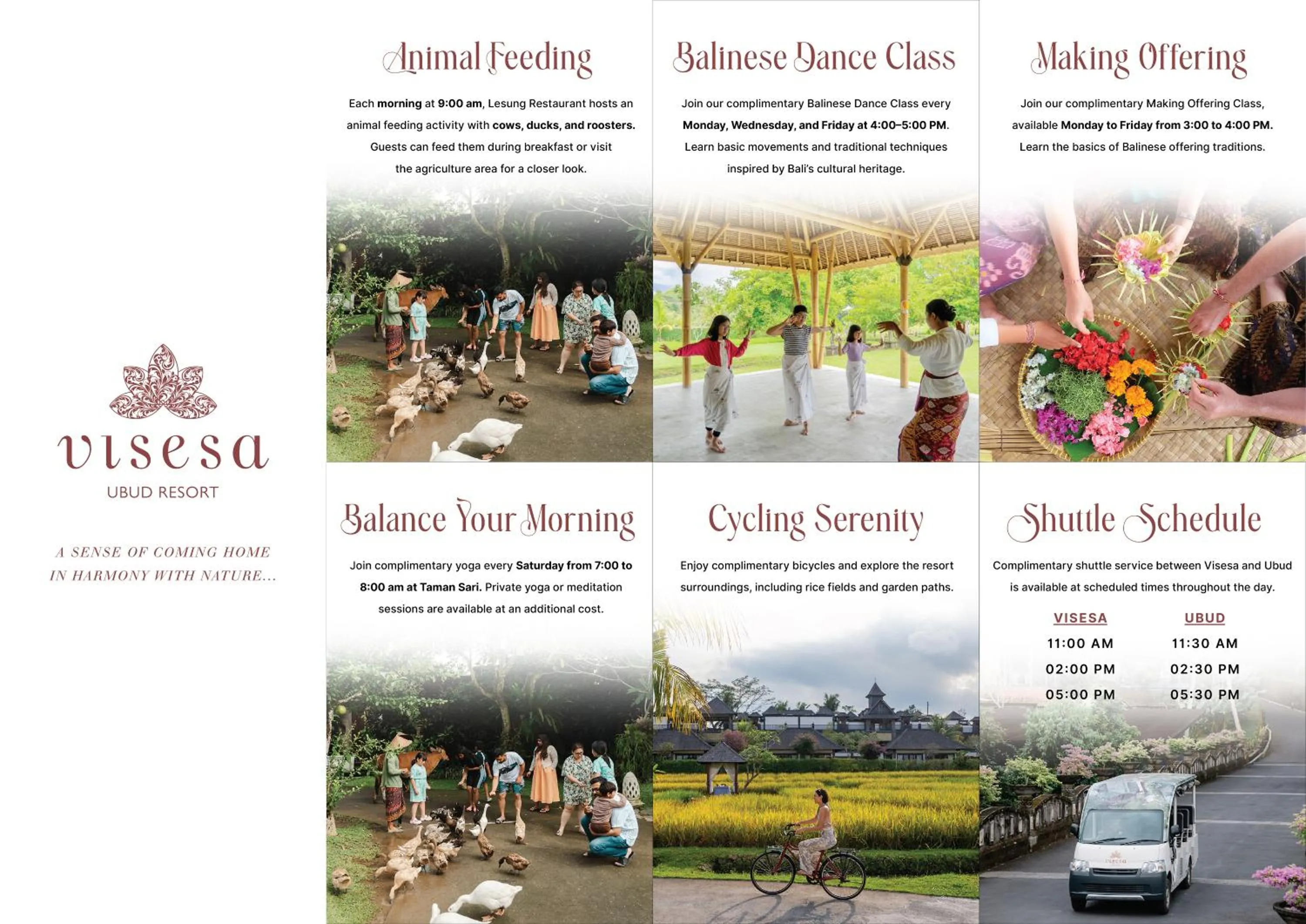 Activities in Visesa Ubud Resort