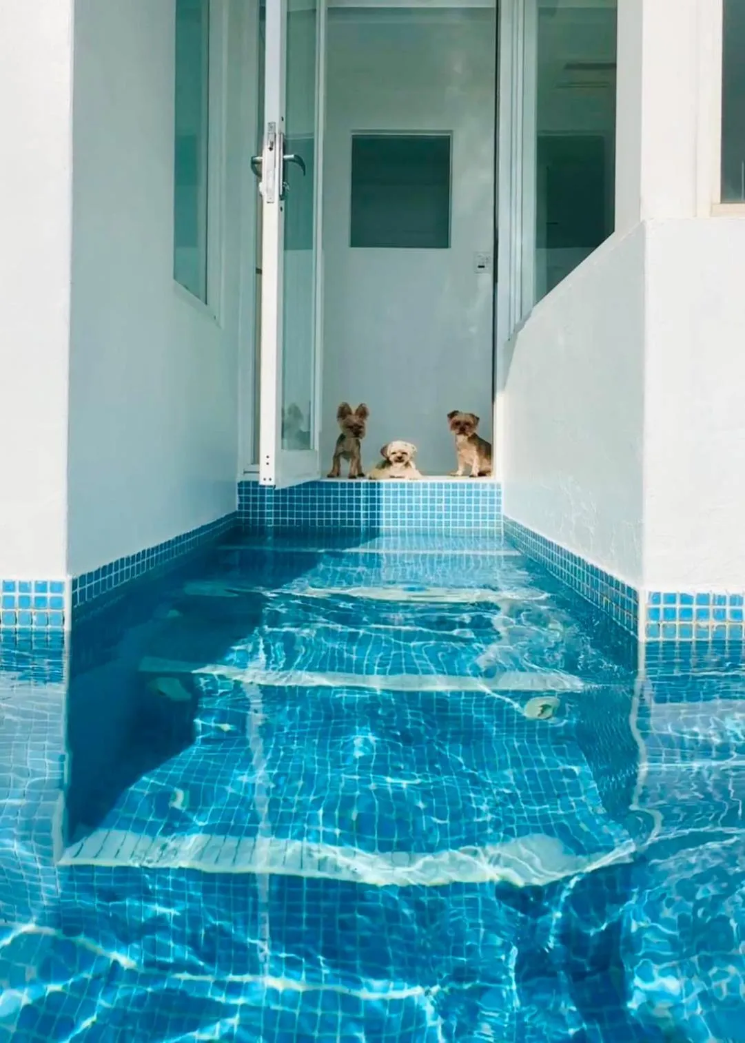 Pool view in Ample Villa 小希臘民宿