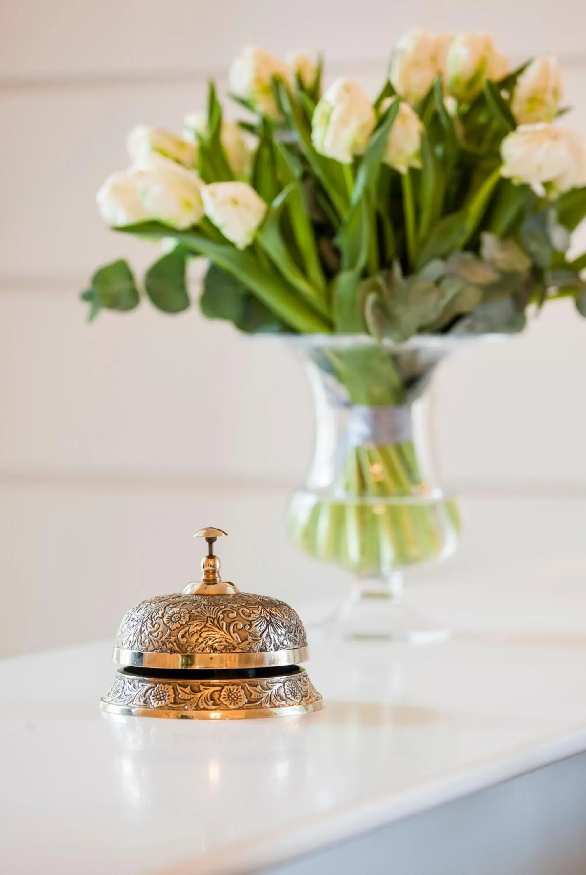 Lobby or reception in Hotel Bellotto Lobby or reception in Hotel Bellotto