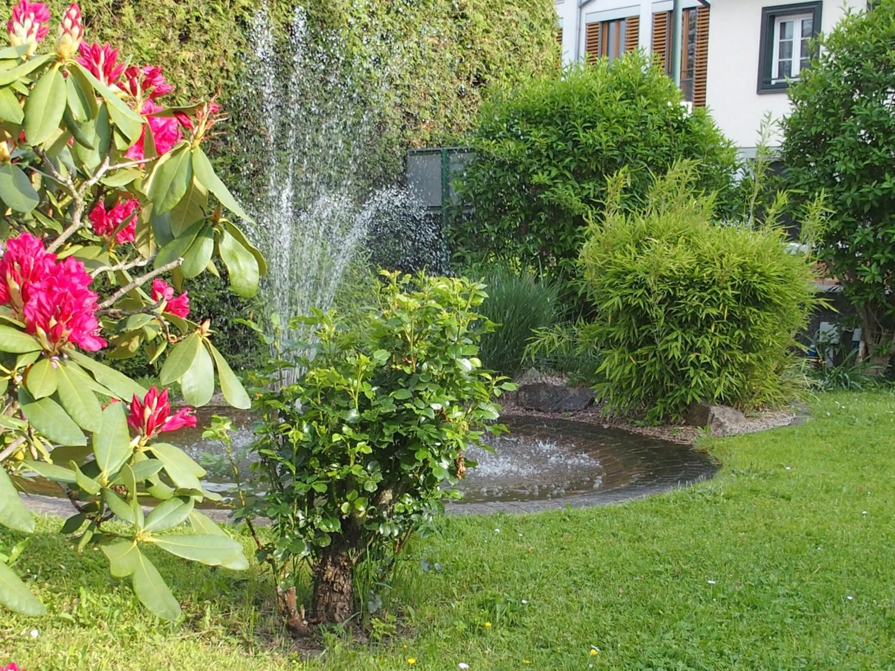 Garden in Hotel Pension Café Hasler