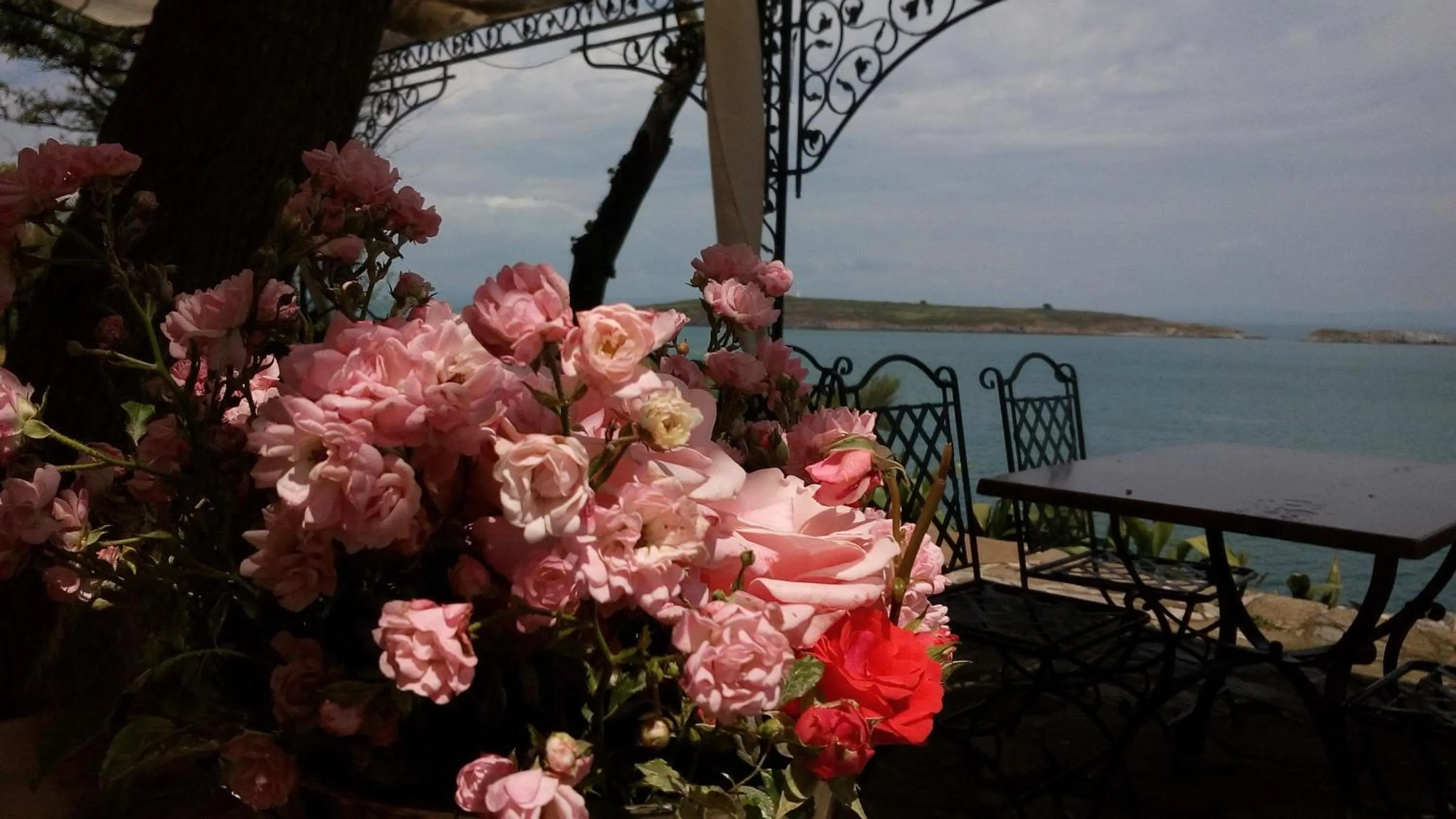 Restaurant/places to eat in Hotel Diamanti