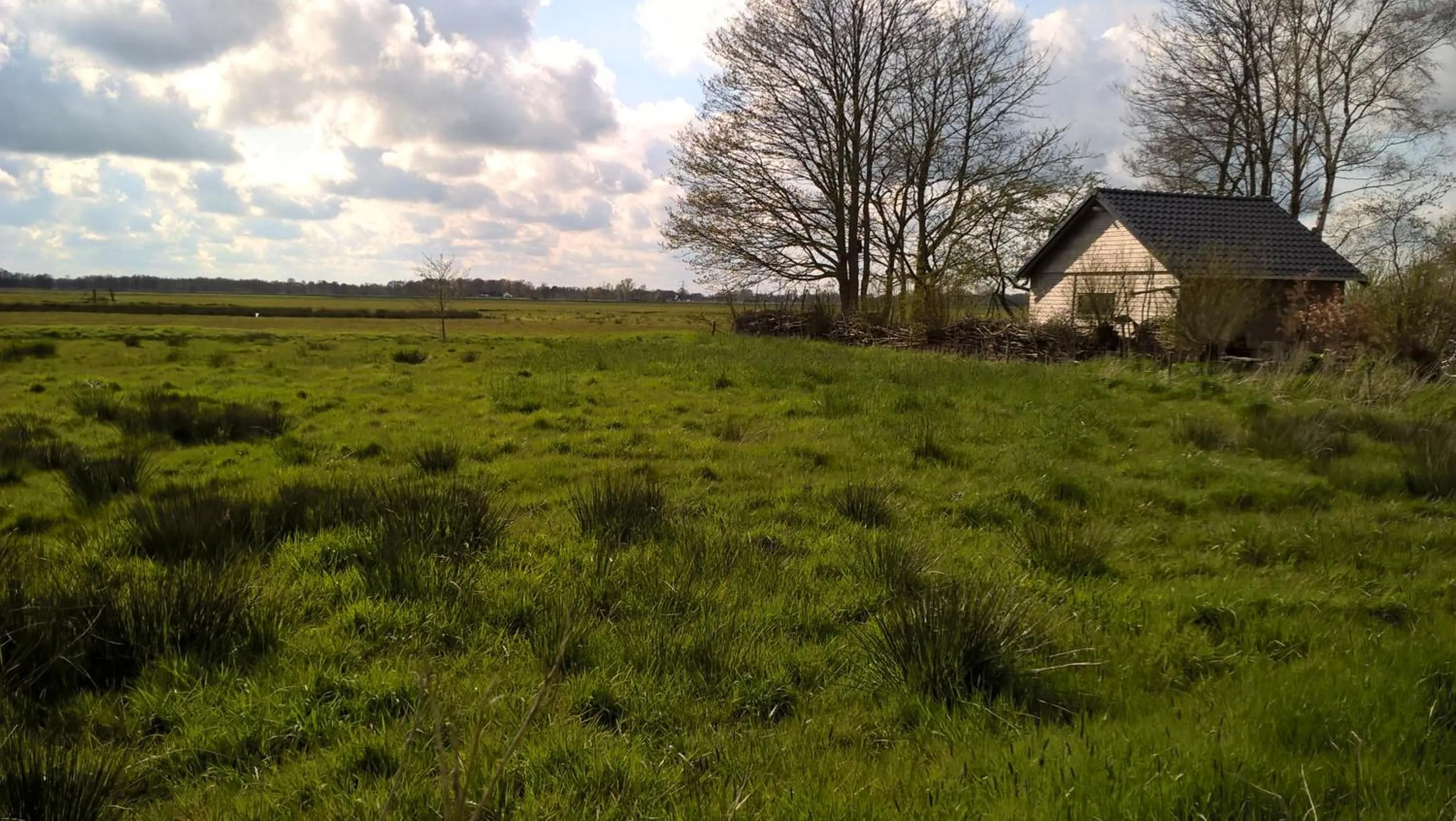 Spring in Kleine Buurt aan de Weide