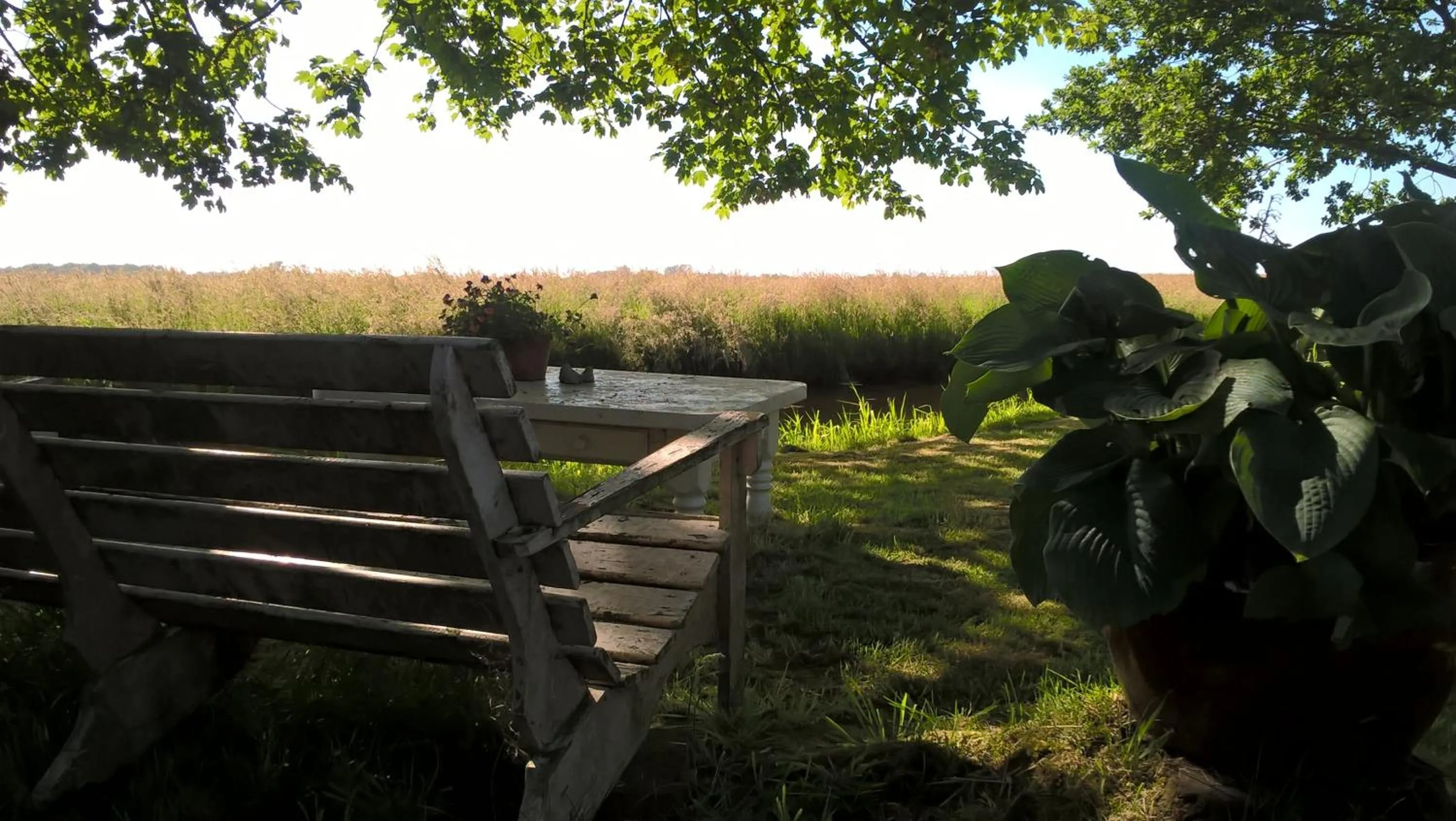 Garden in Kleine Buurt aan de Weide