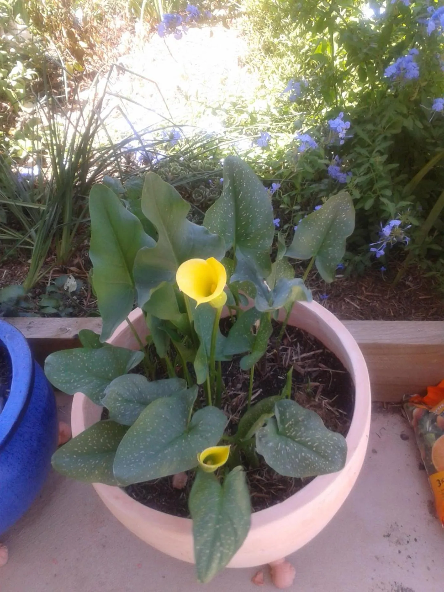 Other in Barklysuites Apartments