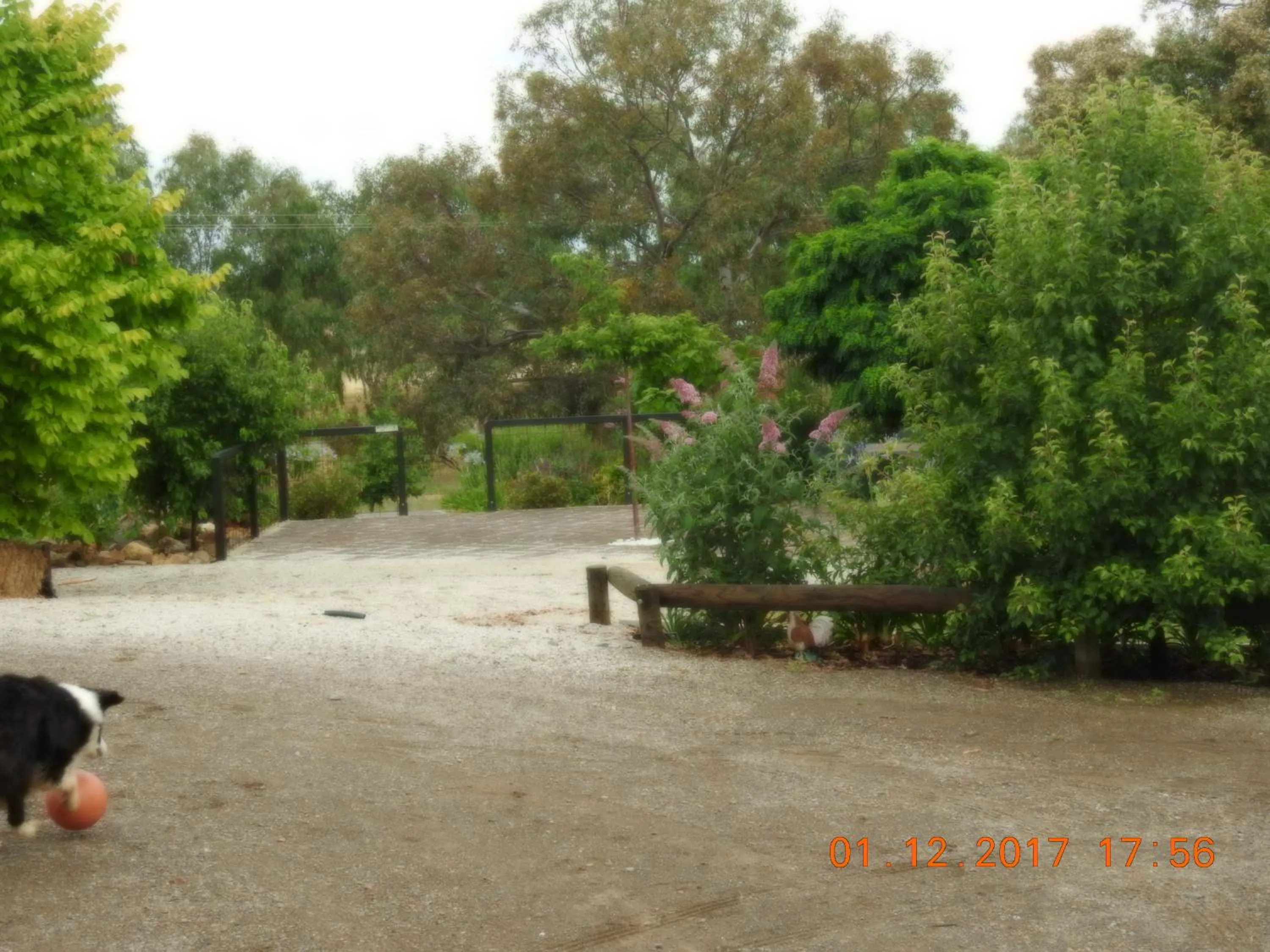 Natural landscape in Barklysuites Apartments