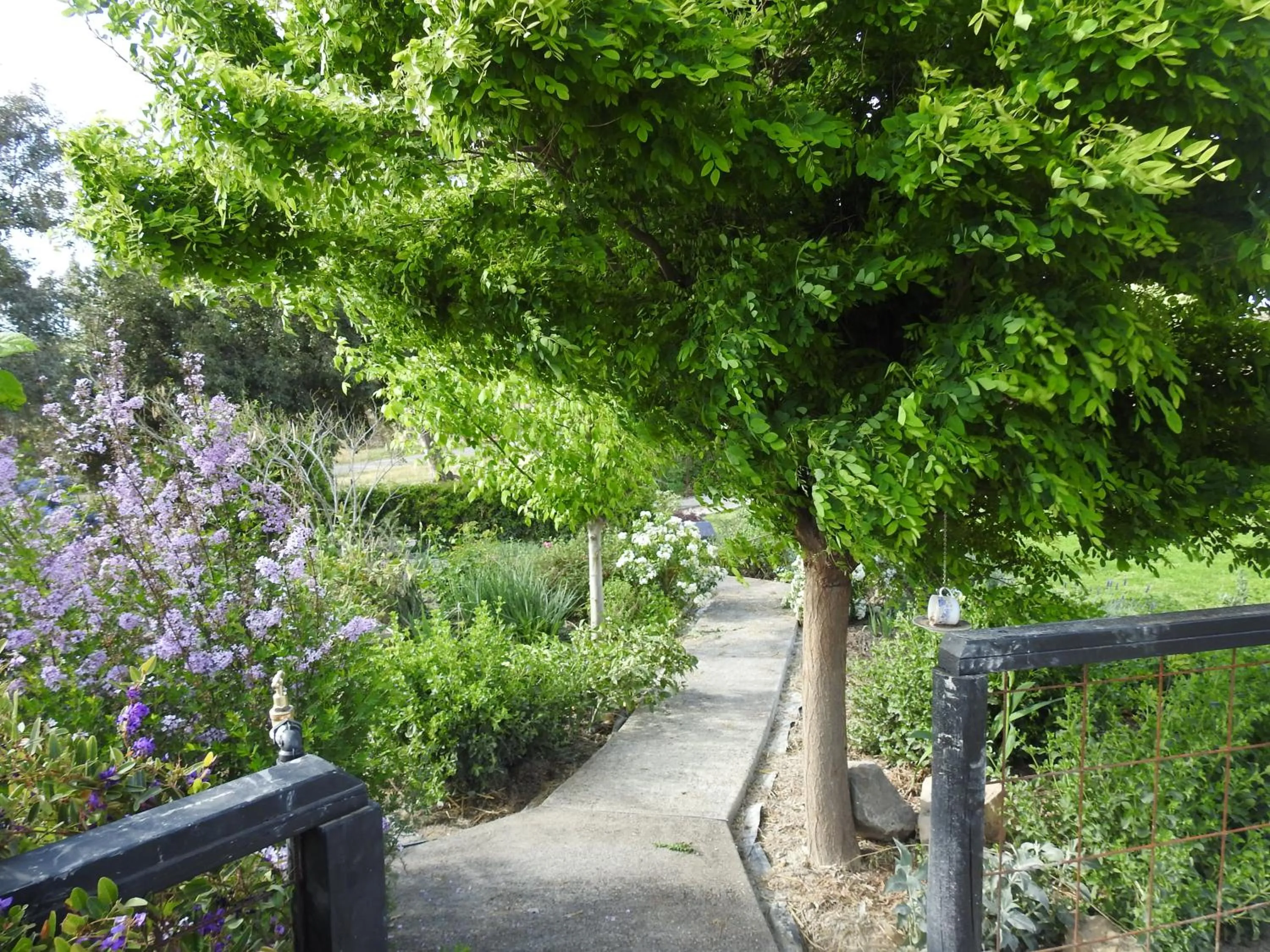 Garden in Barklysuites Apartments