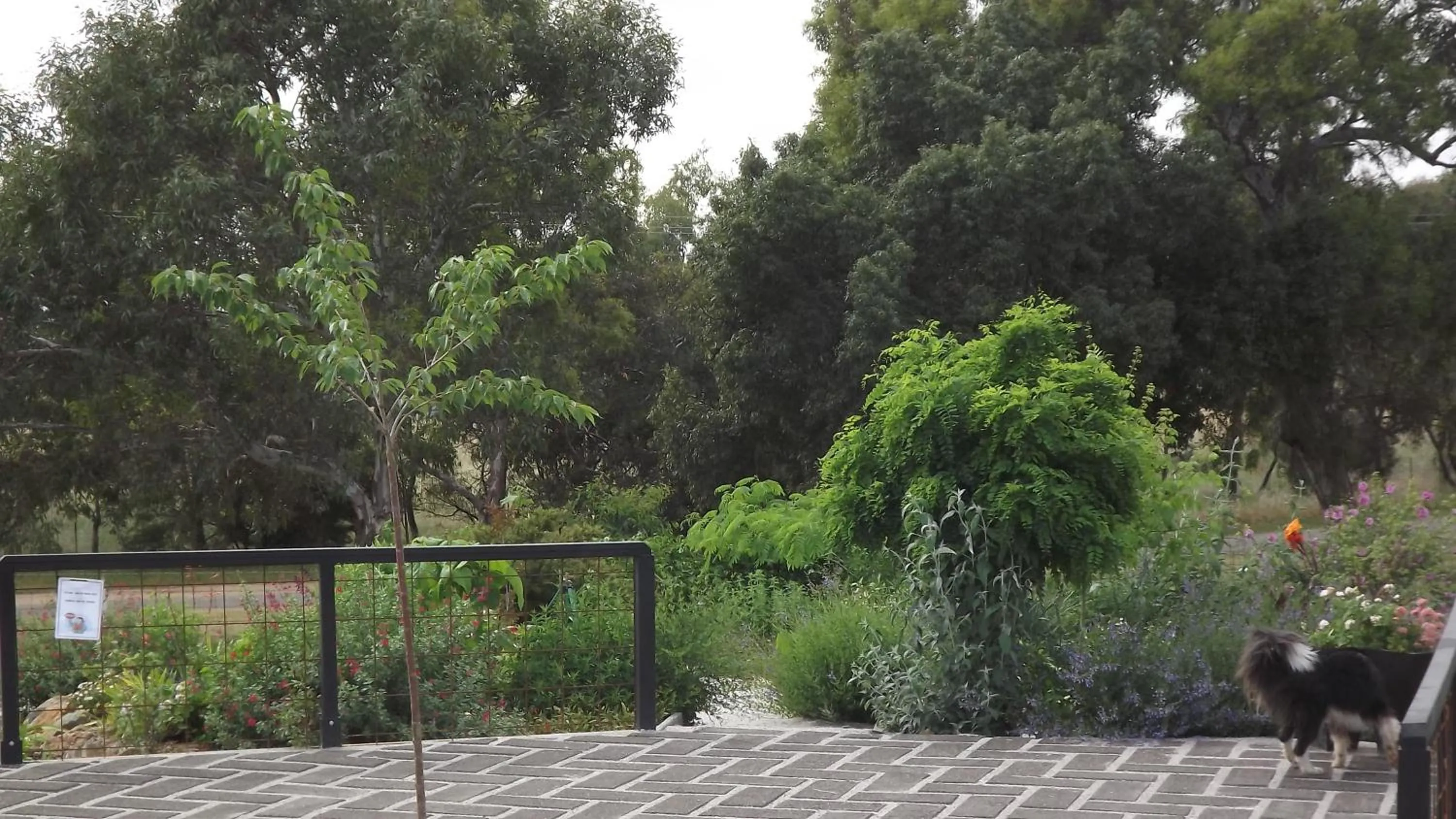 Summer in Barklysuites Apartments