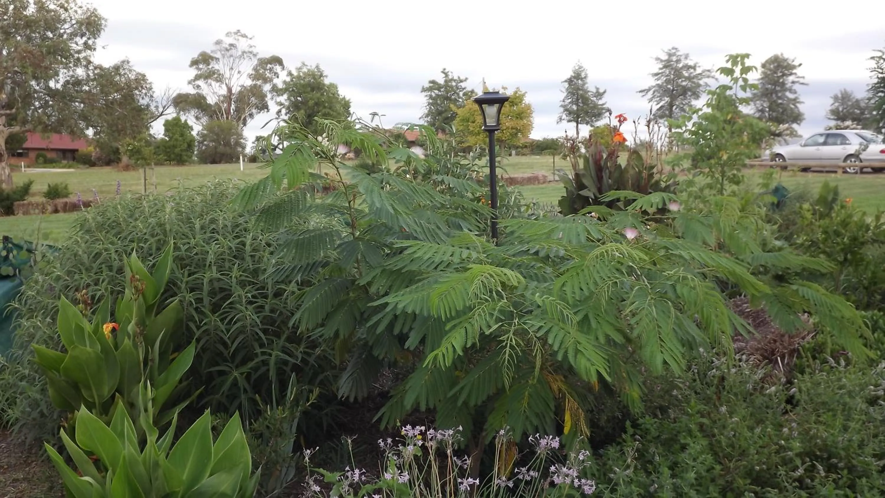 Garden in Barklysuites Apartments