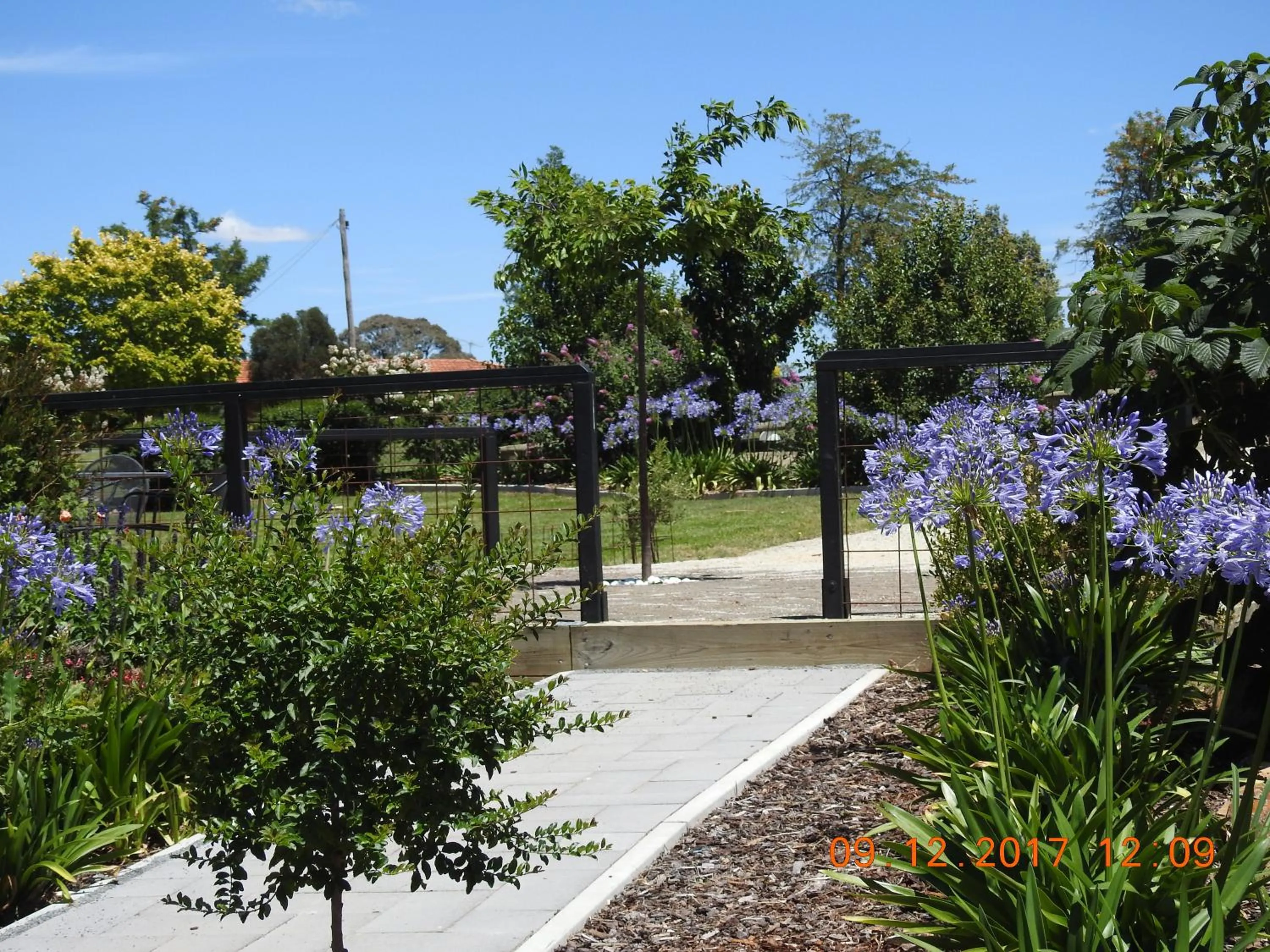 Garden in Barklysuites Apartments