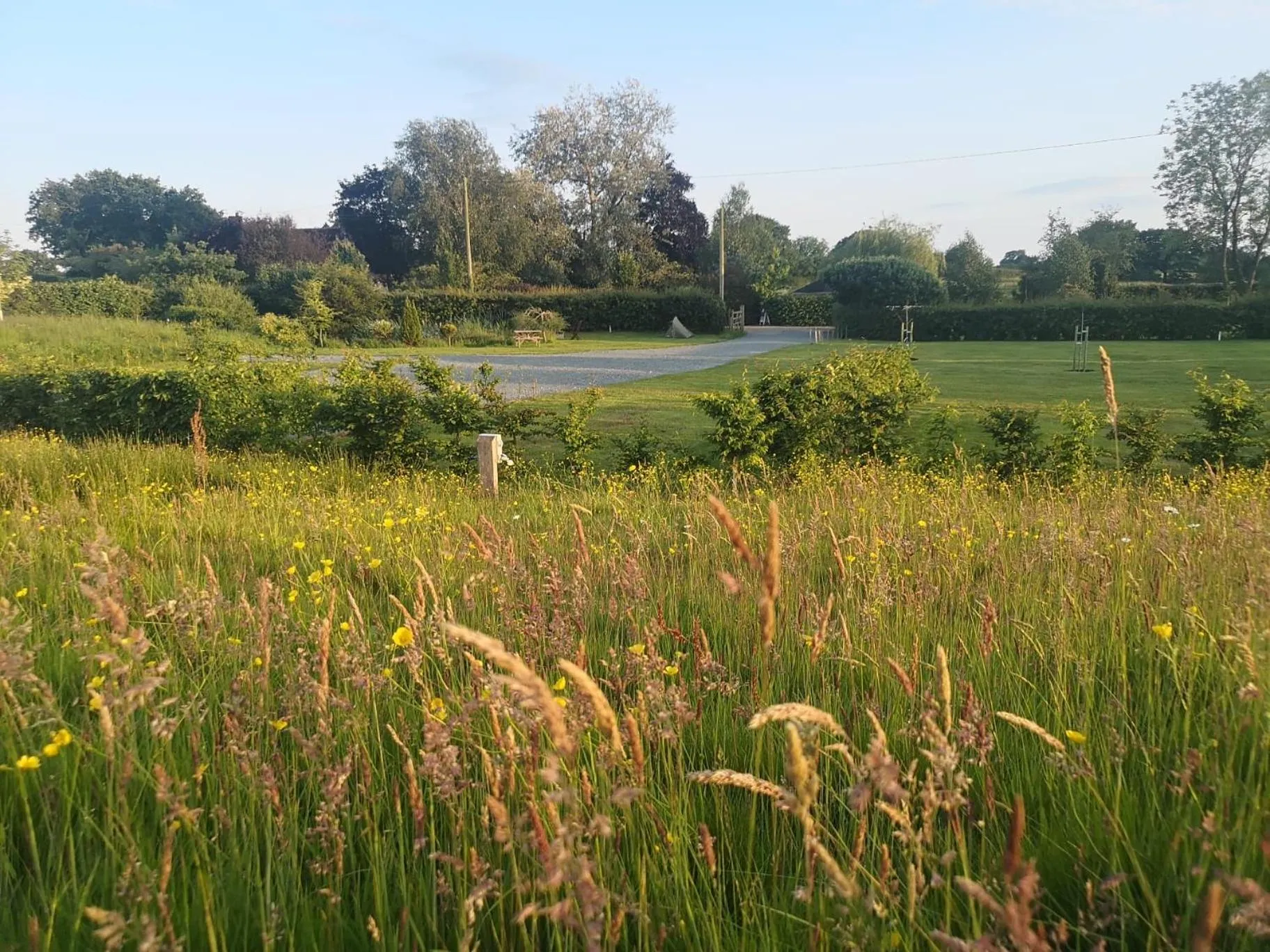 Spring in Abbey Green Farm