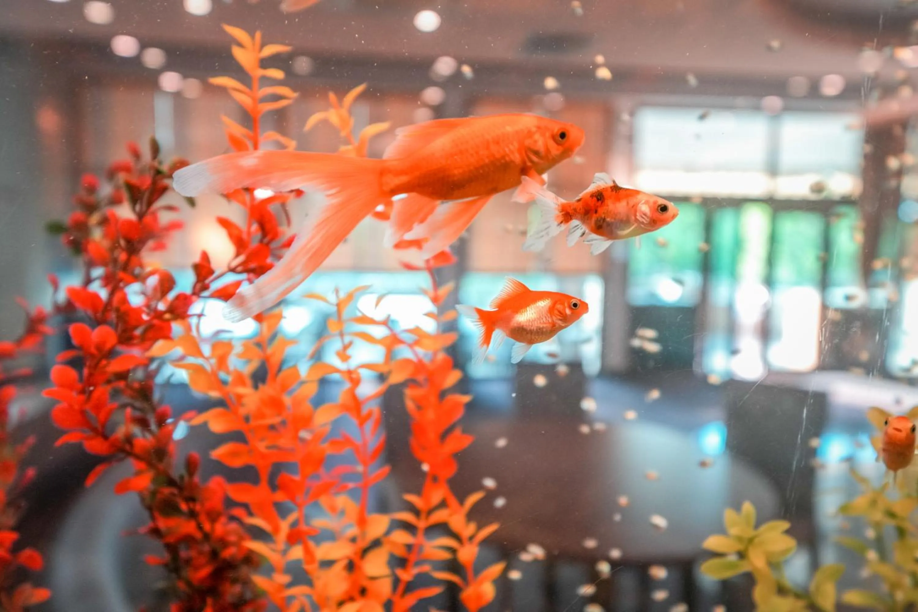 Decorative detail in Calimera Ralitsa Superior Hotel - Ultra All Inclusive plus Aquapark