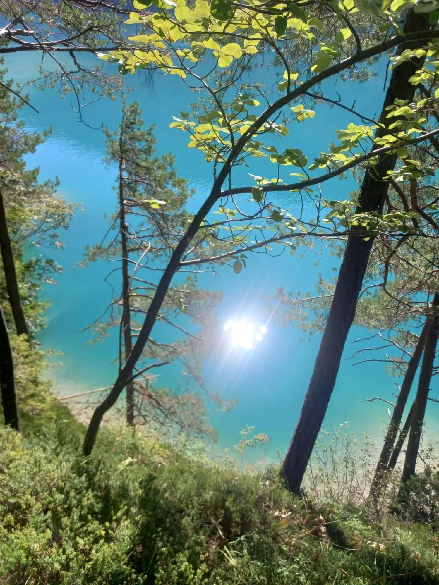 SeeHotel & SeeApartments Kärntnerhof- direkt am See!