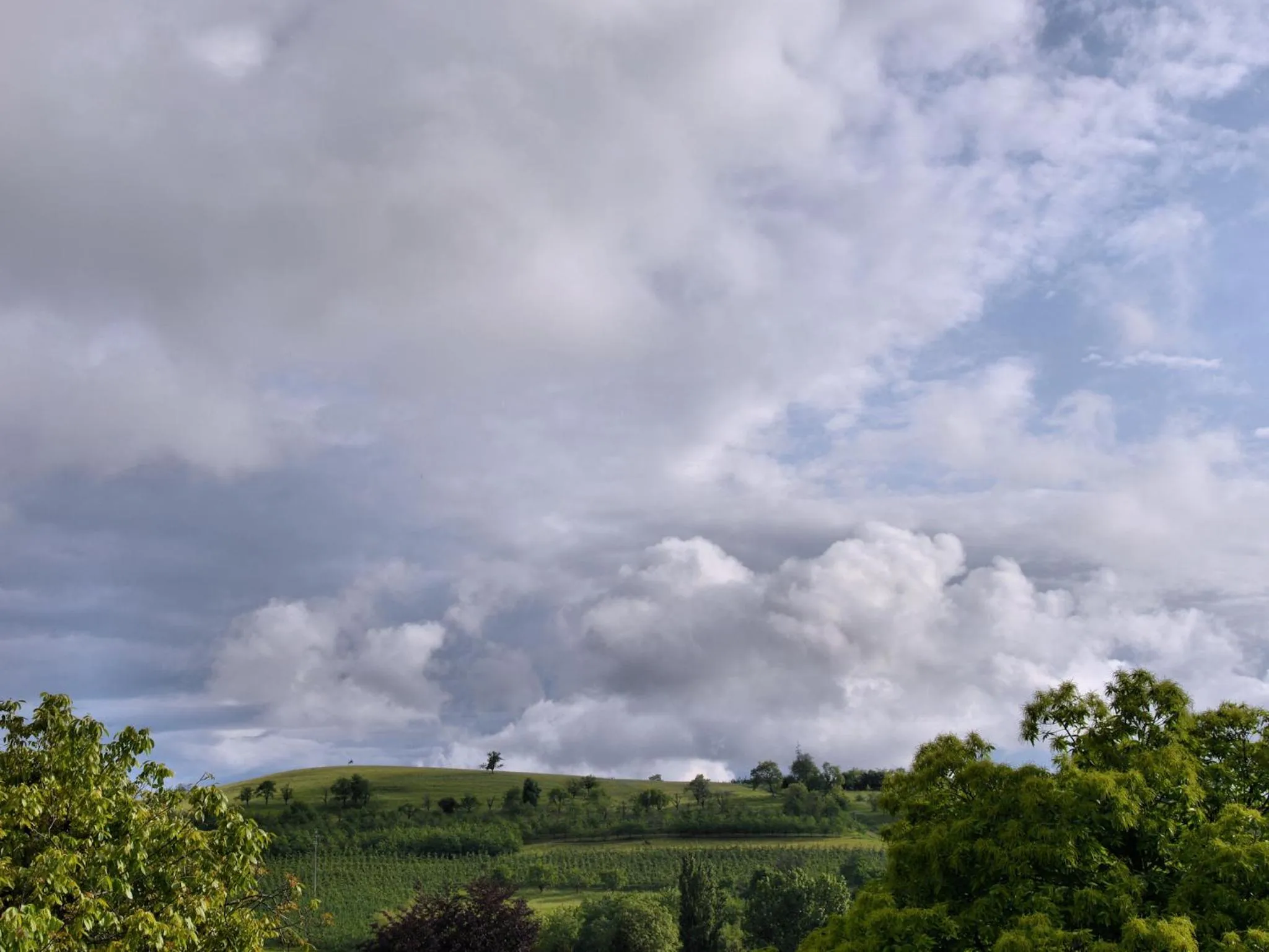 Garden view in Am Paradies