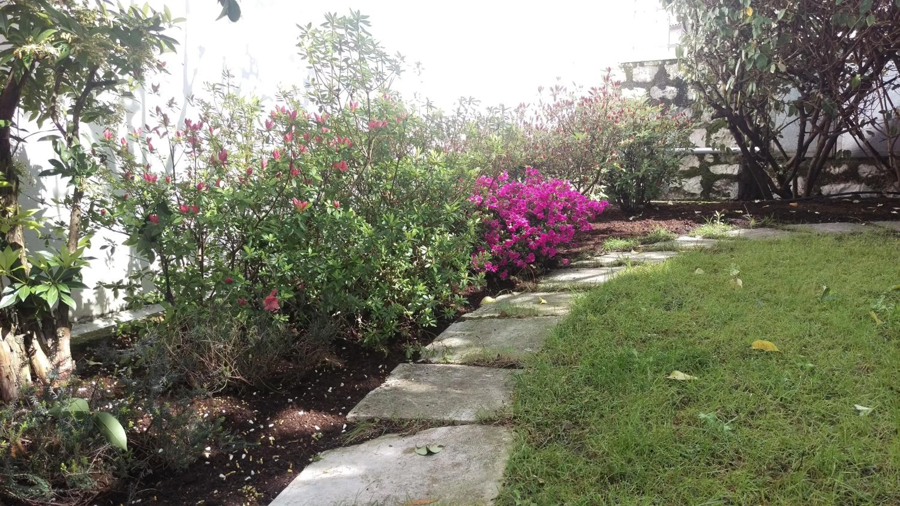 Decorative detail in Locanda Solagna