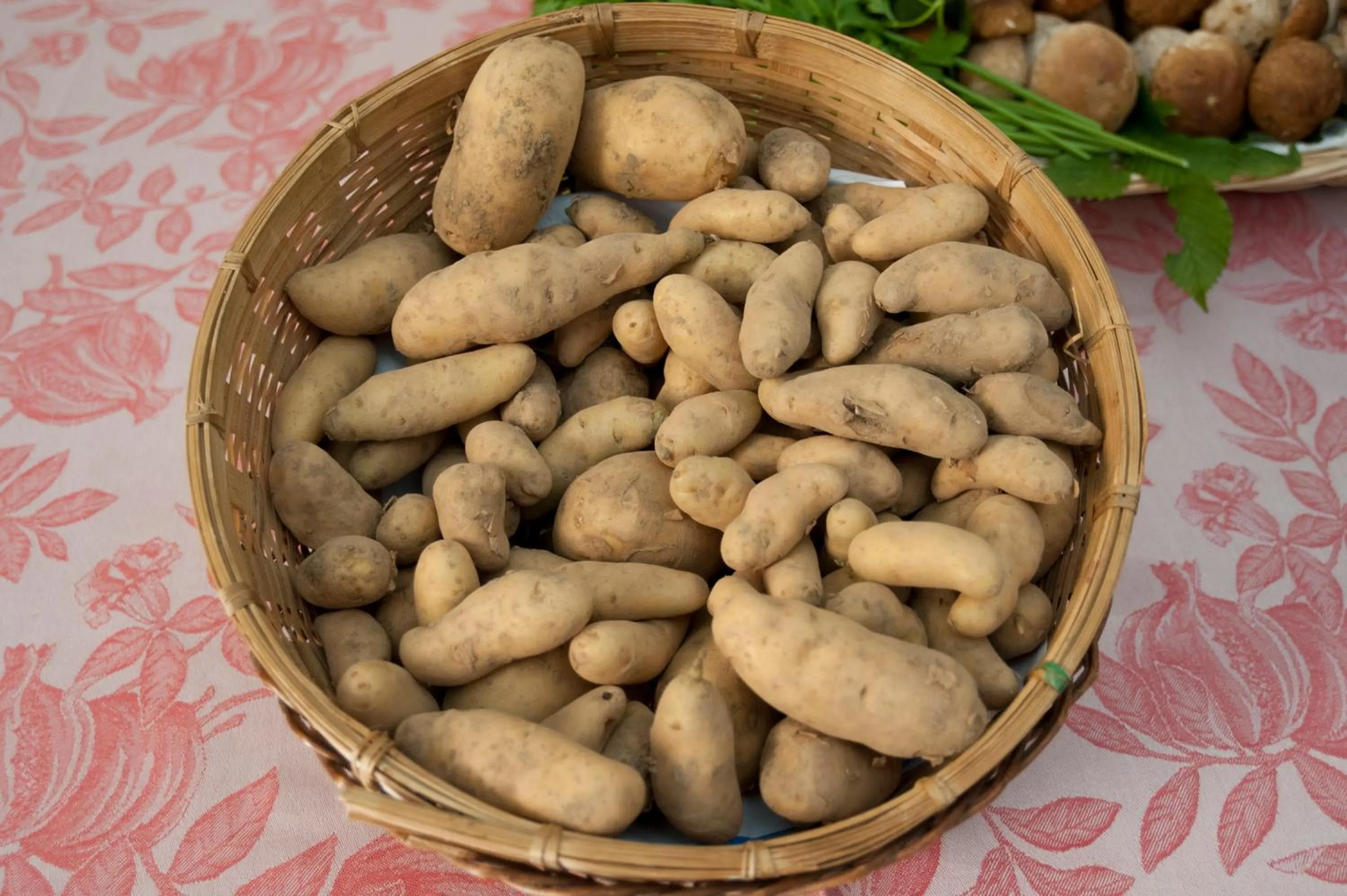 Food in Locanda Solagna