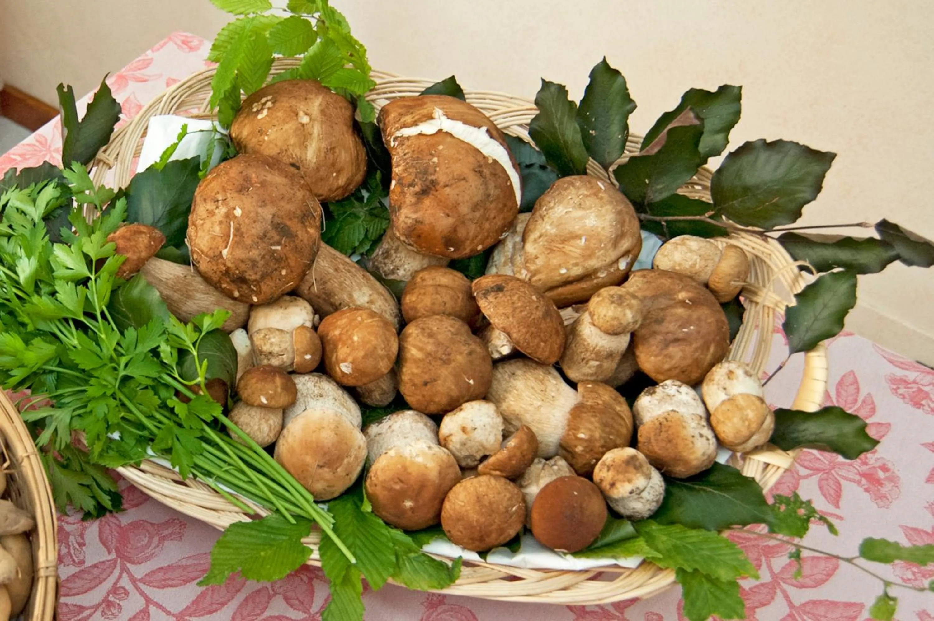 Food and drinks in Locanda Solagna