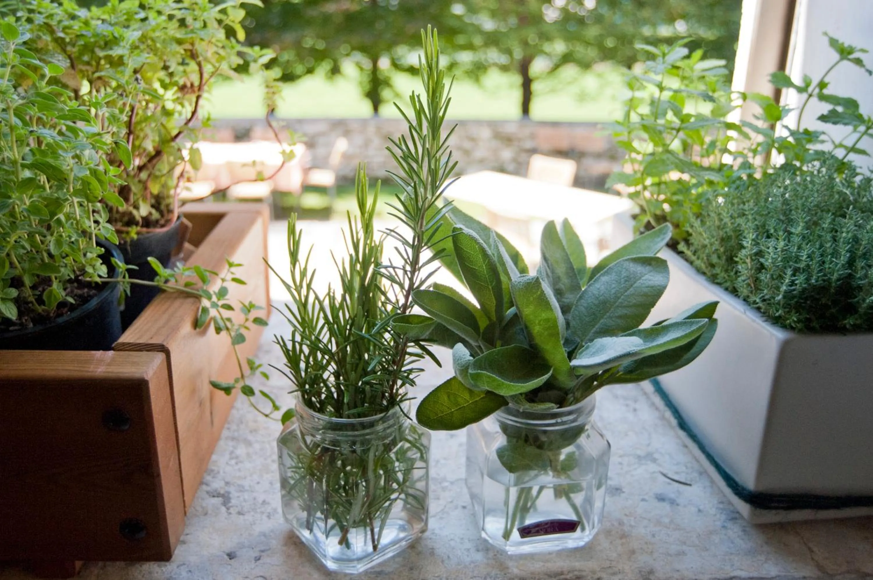 Food in Locanda Solagna