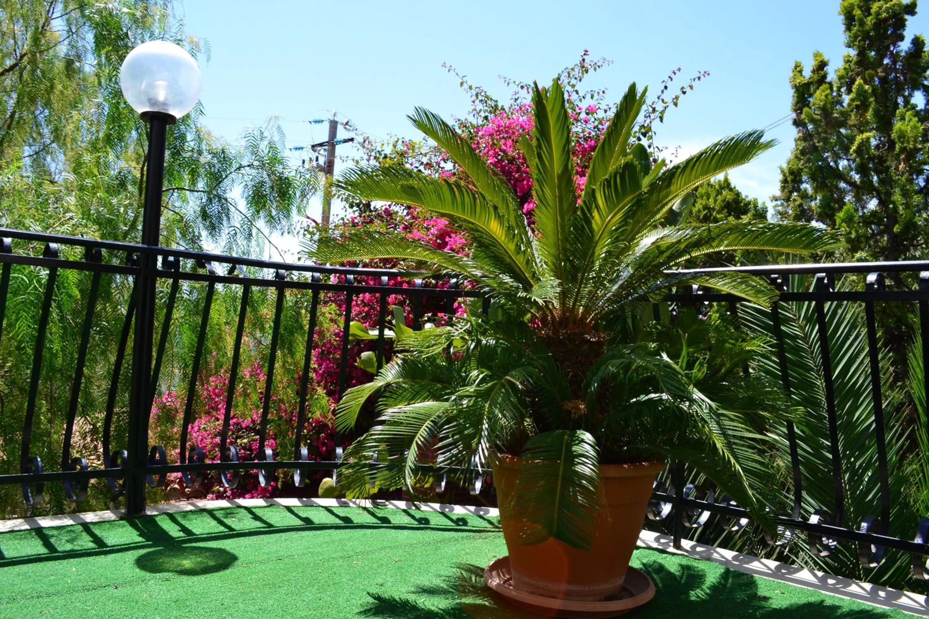 Garden, Swimming Pool in Hotel Miravalle