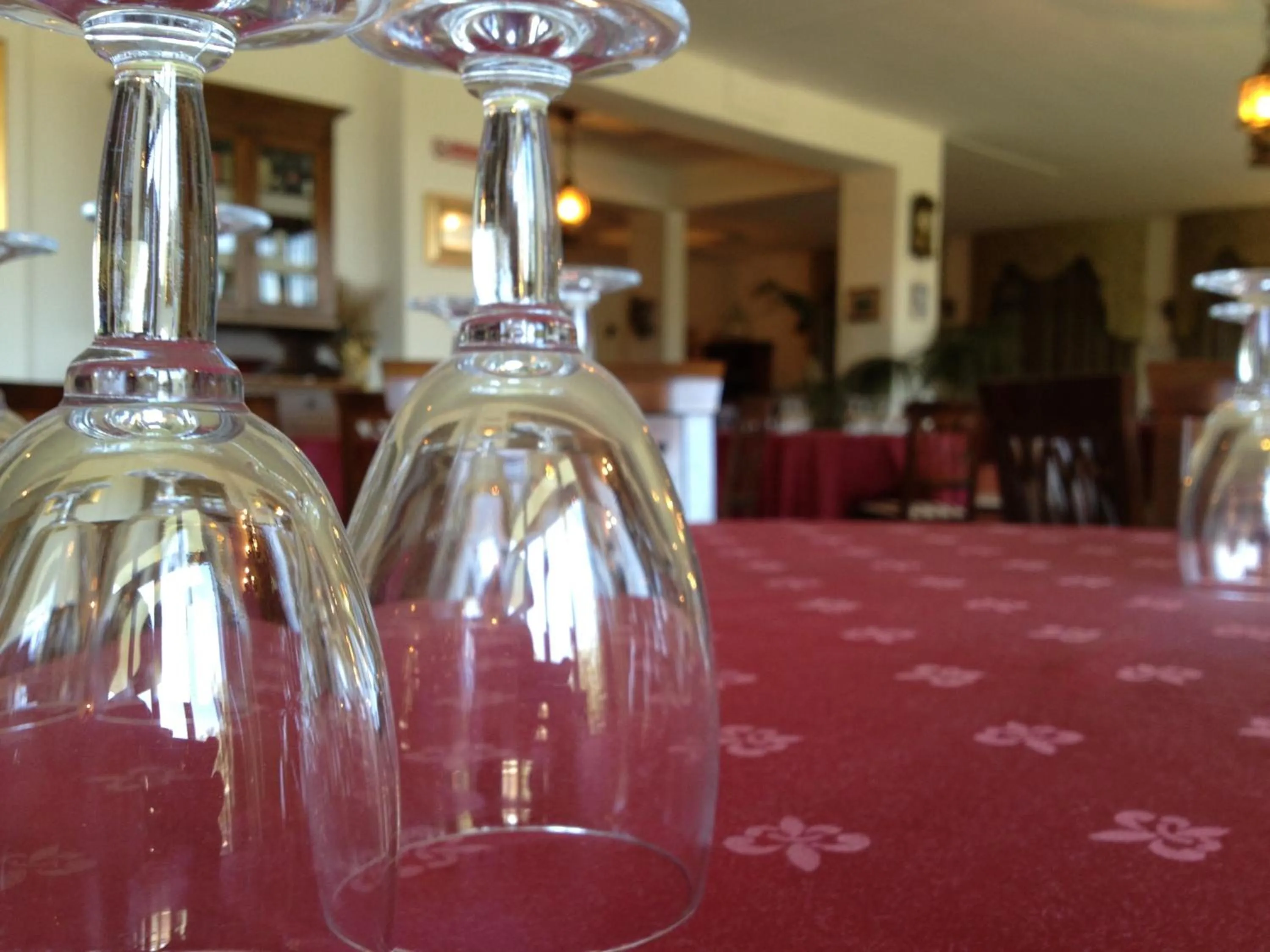 Lounge or bar in Hotel Miravalle